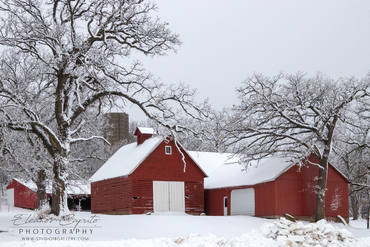 Red Barn Union Grove Lake, Iowa #102