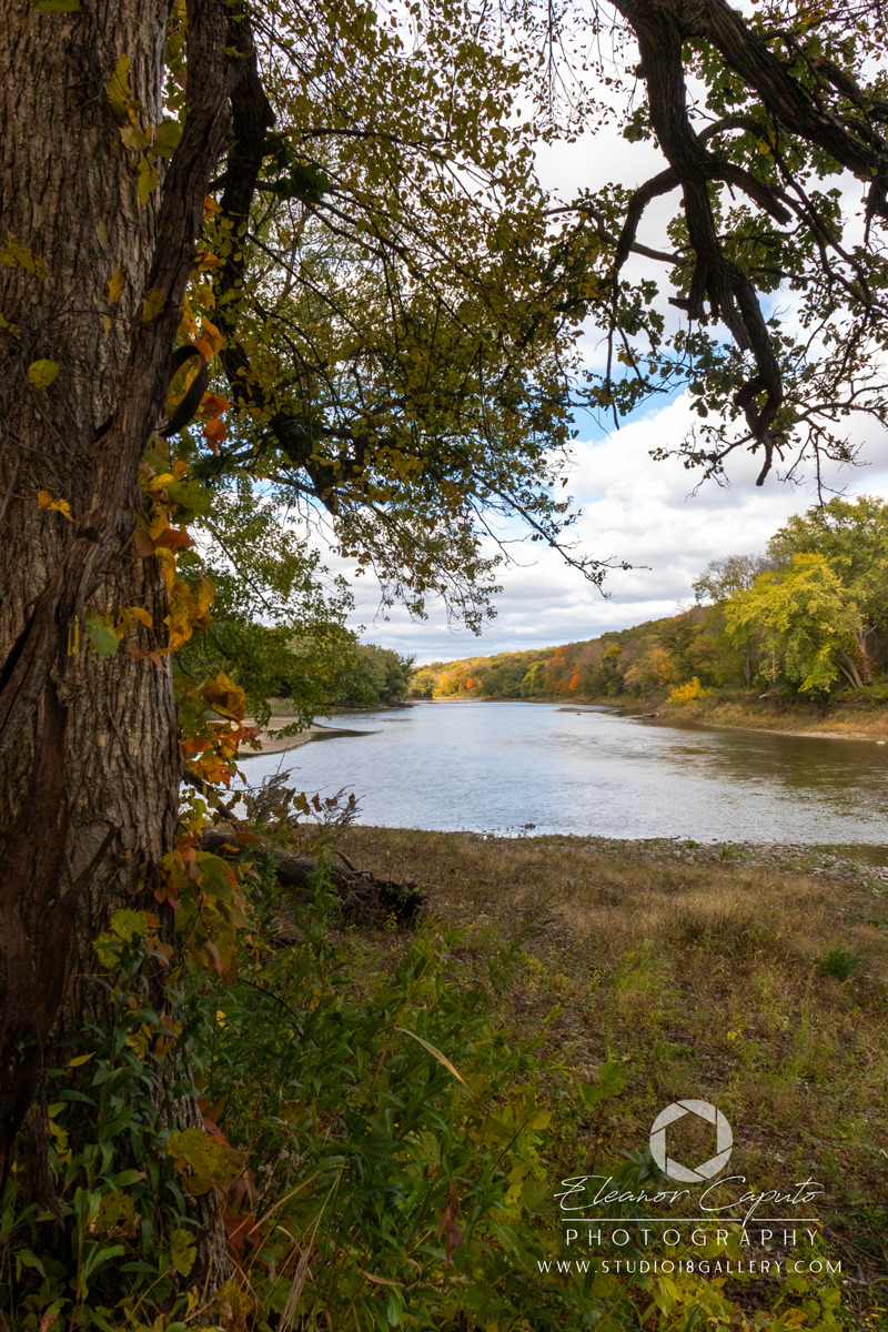 Dolliver-Park-0119
