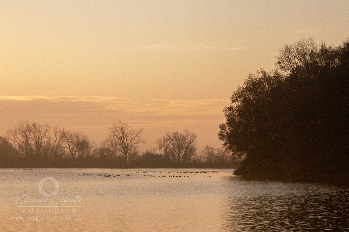 Sunrise-fishermen-union-grove-lake-0021