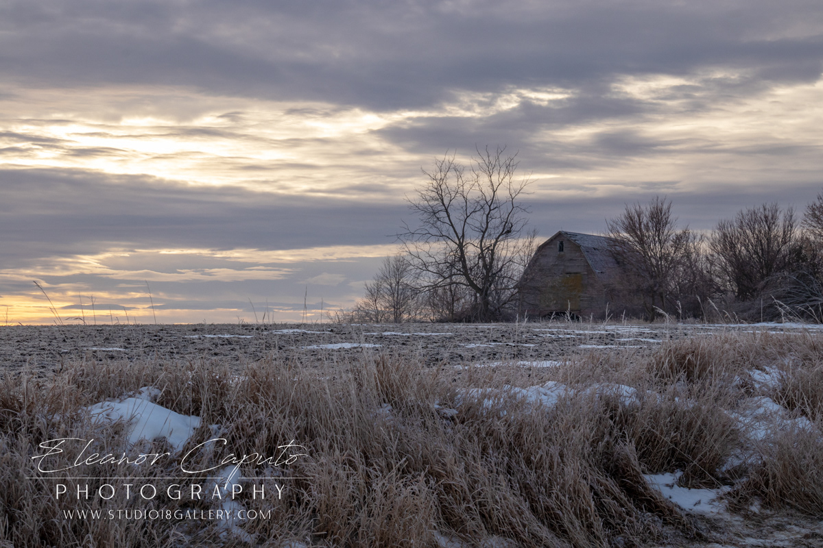 Frosty Field with barn Beaman Iowa