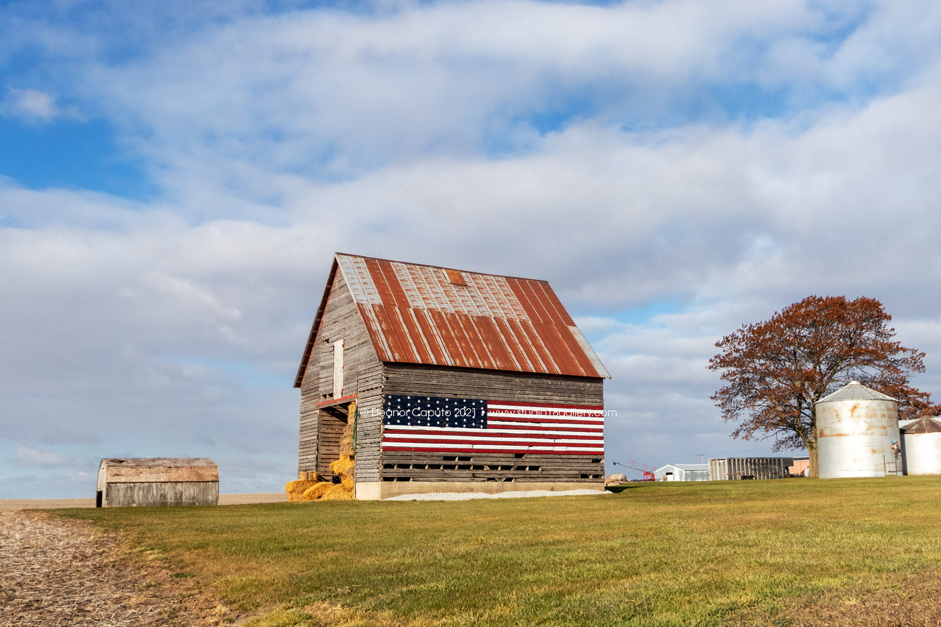 flag farm 1004 Tama Rd 3651