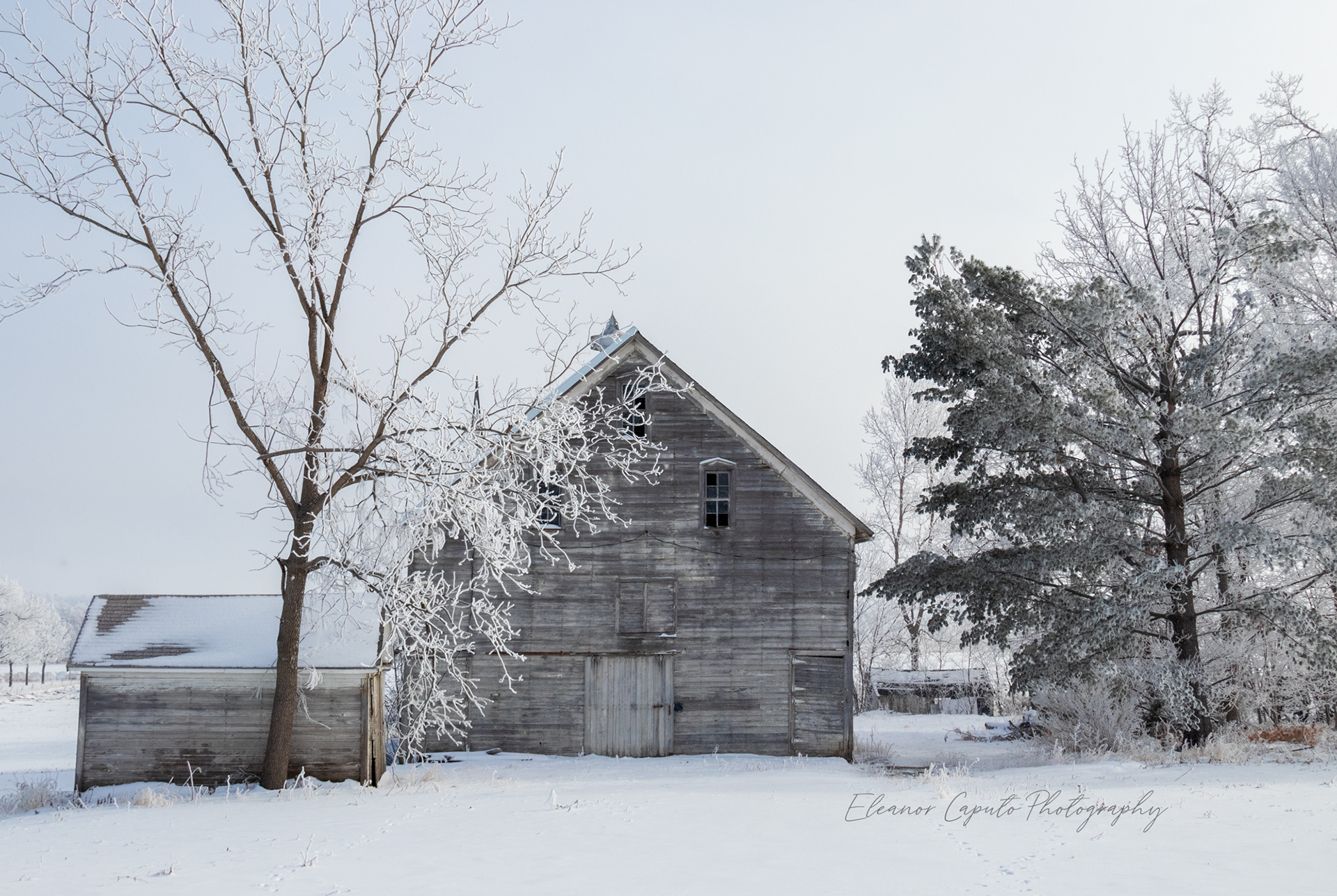 Weathered barn In snow - #102