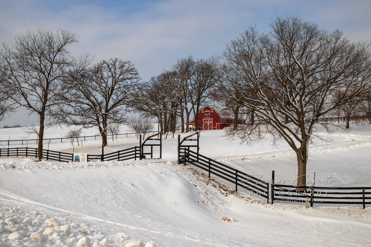 Red Barn in snow South West Iowa #101