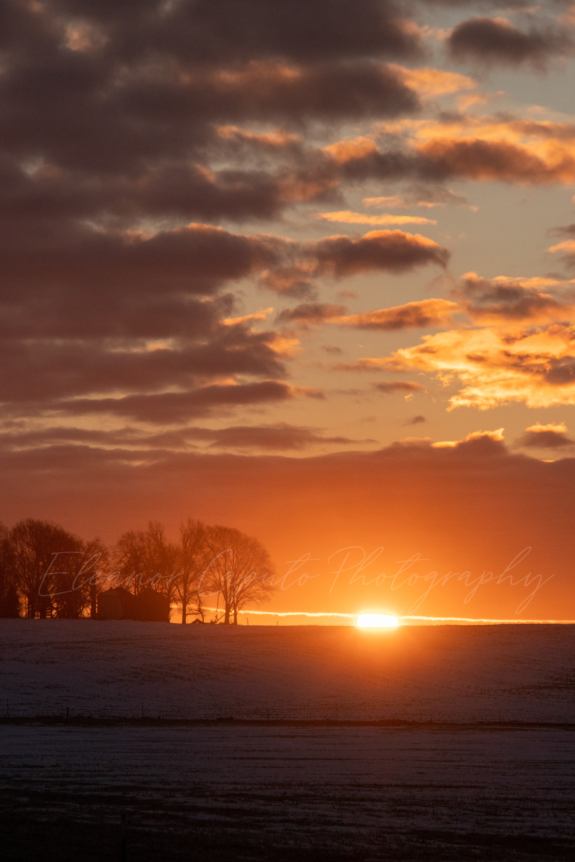 grain bin sunset silhouette 4359