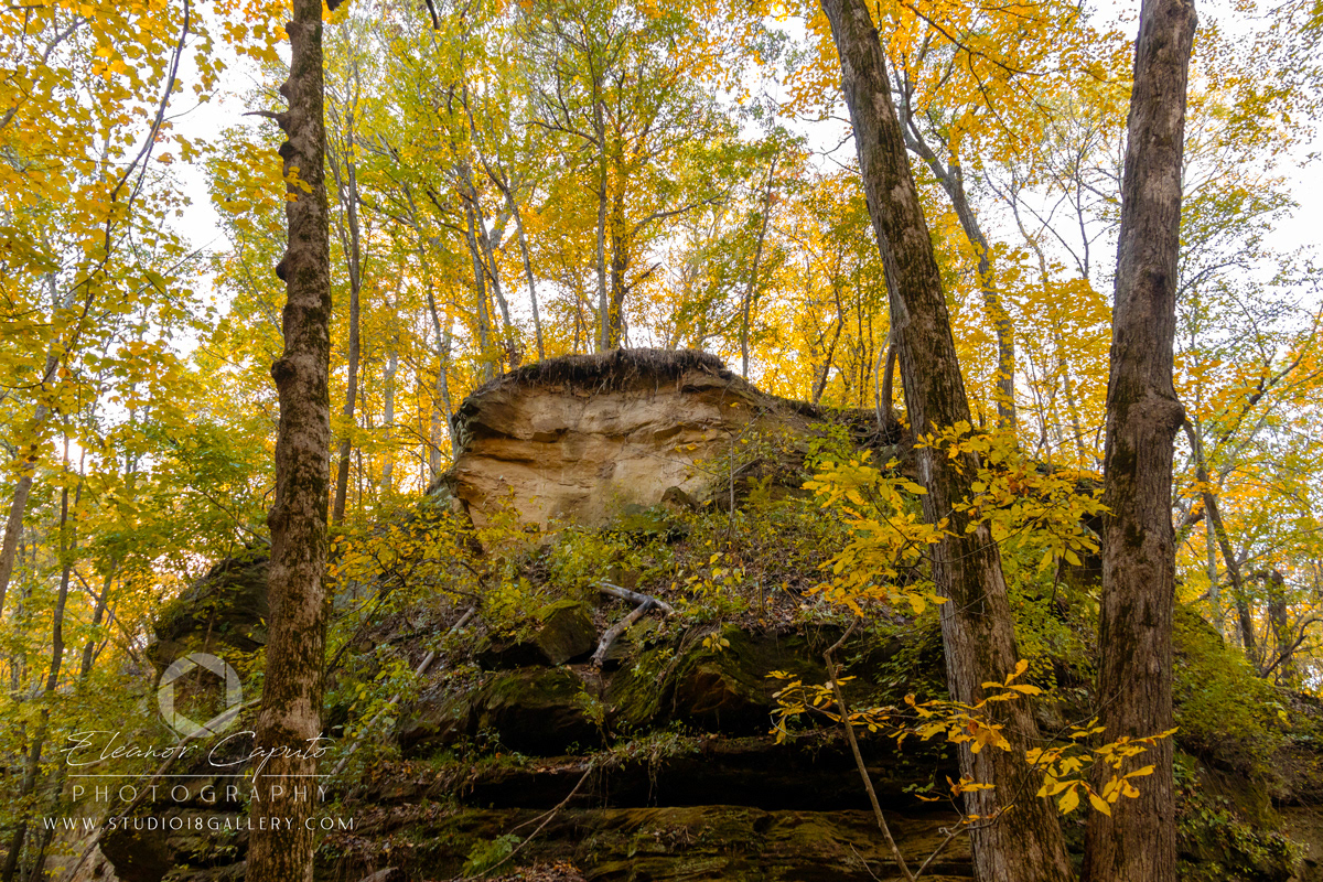 Dolliver-Park-0172
