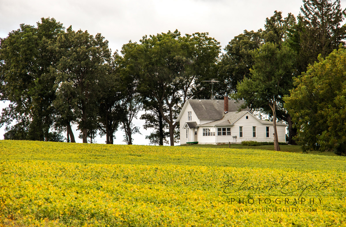 Beaman farmhouse 2876