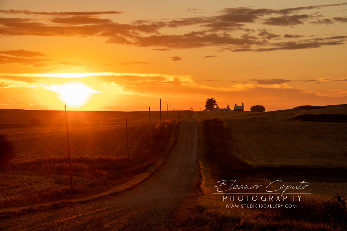 orange sunset gravel rd 150 9227
