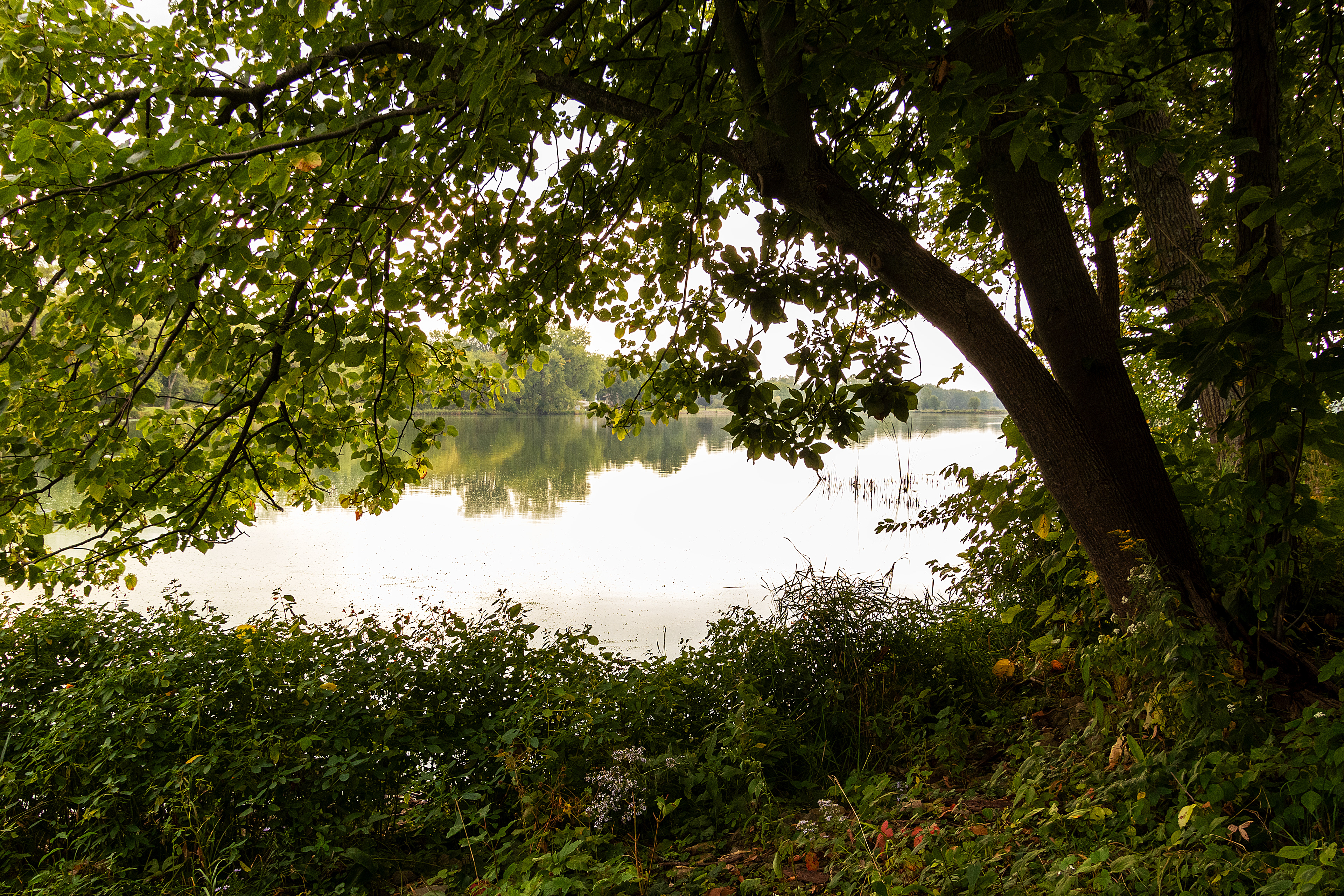Union-Grove-Lake-0281