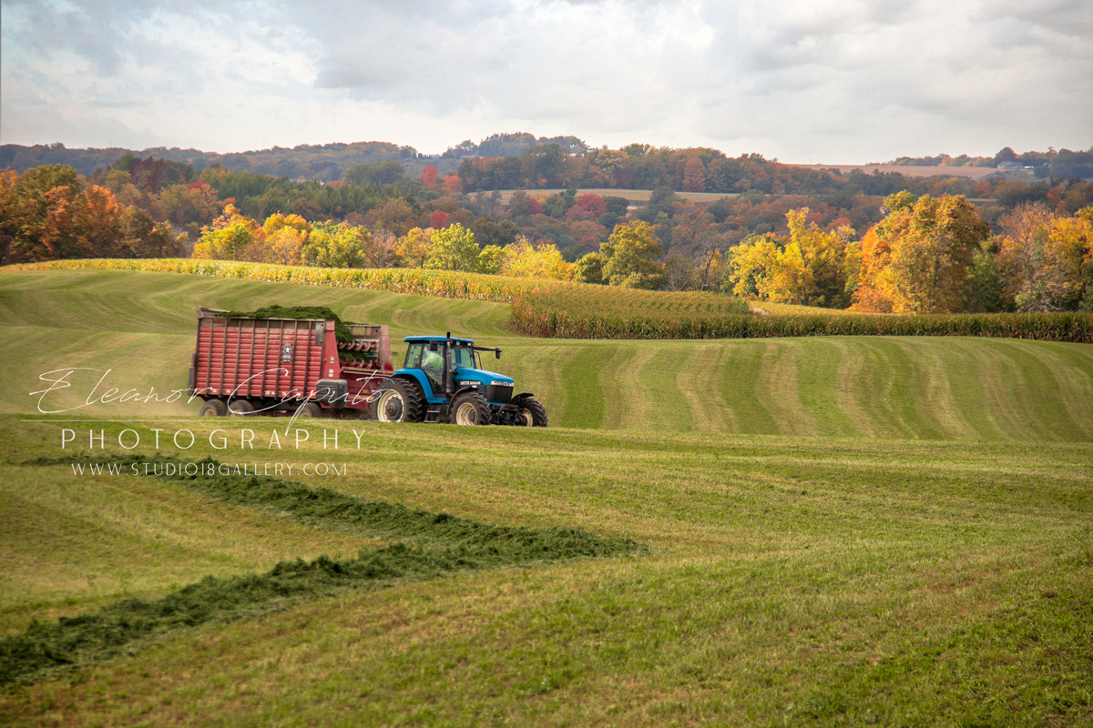 fall harvest north east Iowa 9408