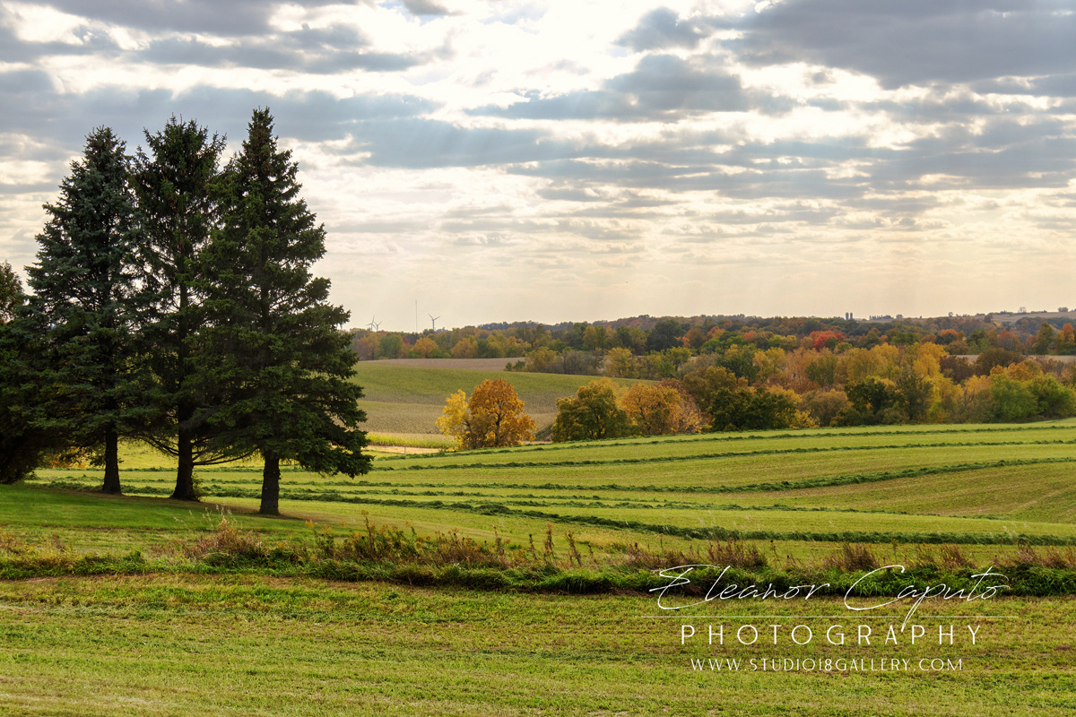 fall harvest north east Iowa 9455