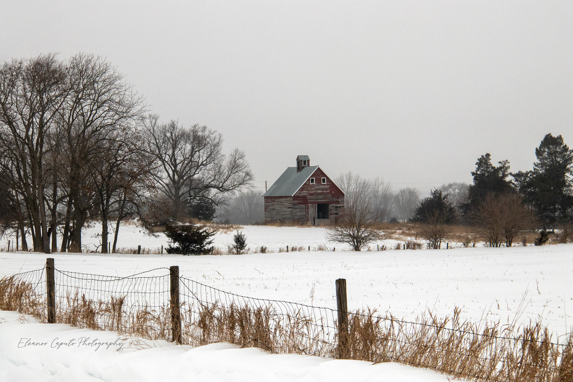Distant corn crib in snowy field