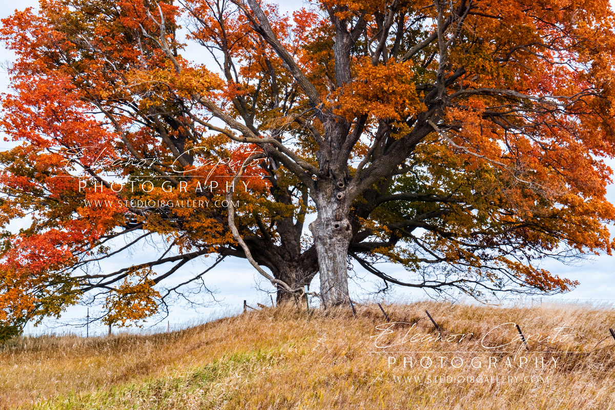 stagecoach road Grundy county 9729