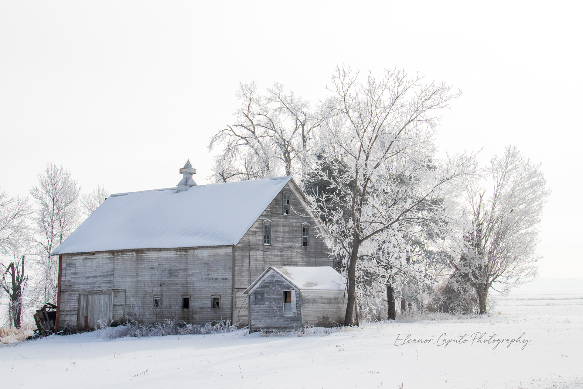 Weathered barn In snow - #103