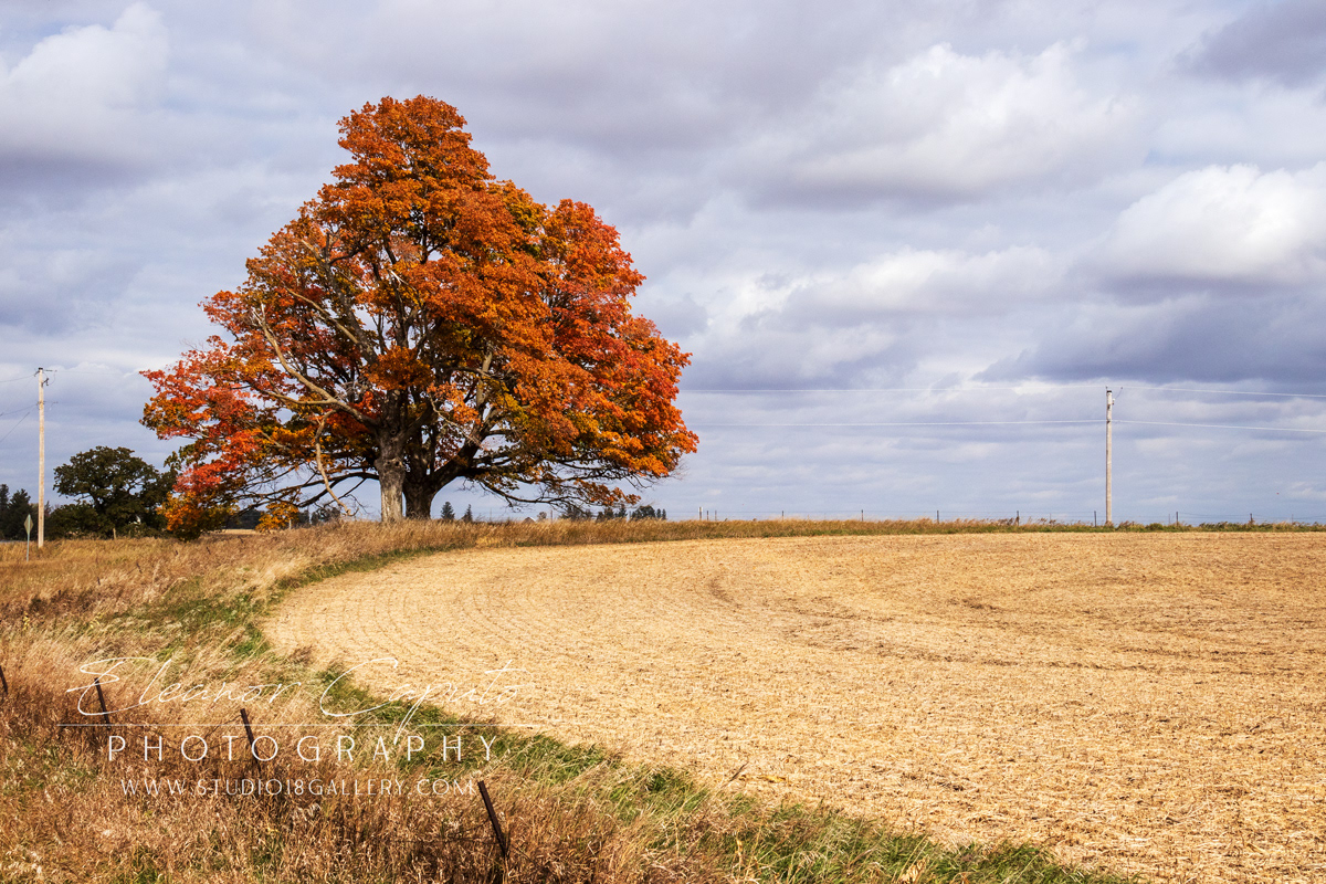 stagecoach road Grundy county 9726