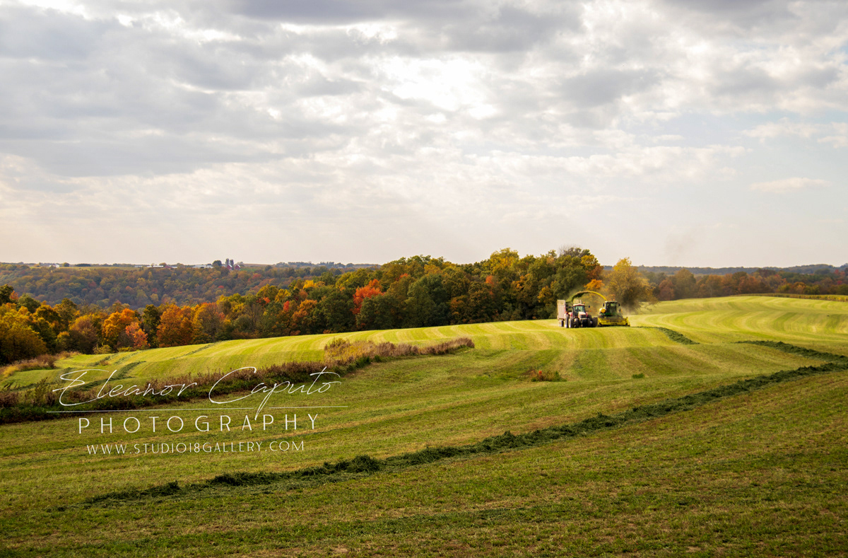 fall harvest north east Iowa 9415