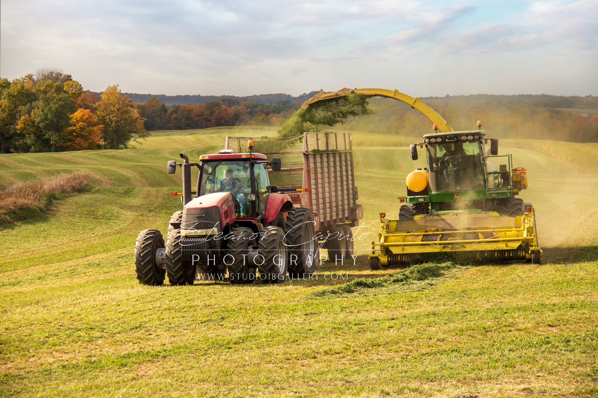 fall harvest north east Iowa 9428
