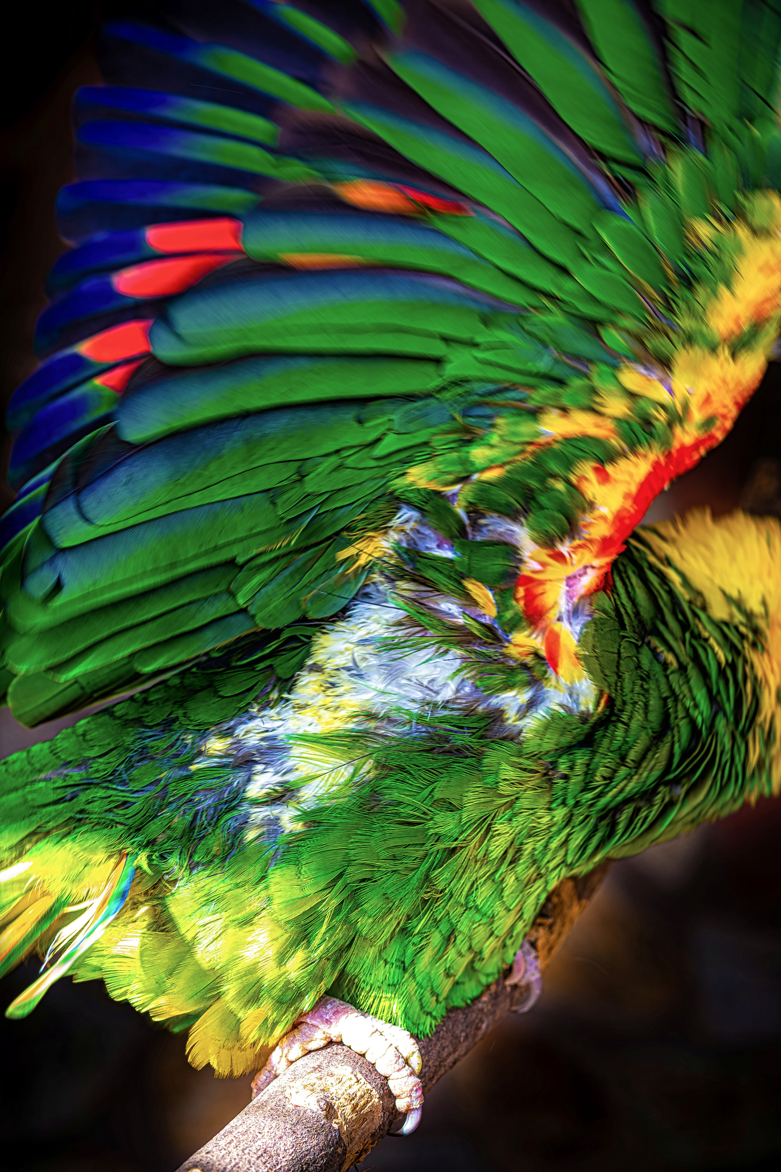 mein persönlicher favorit