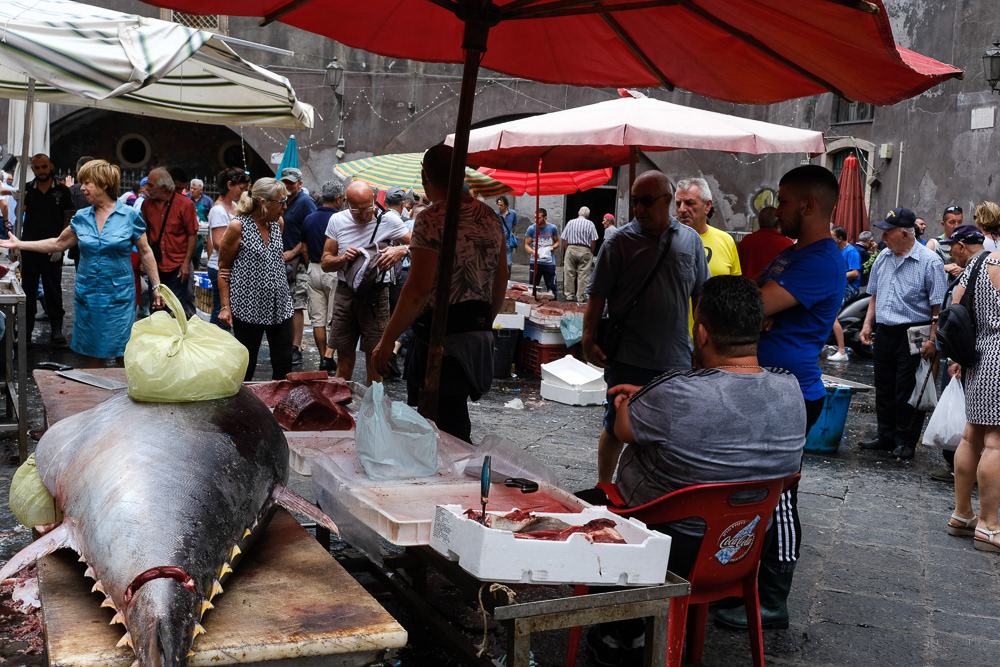 Catania - June 14, 2018