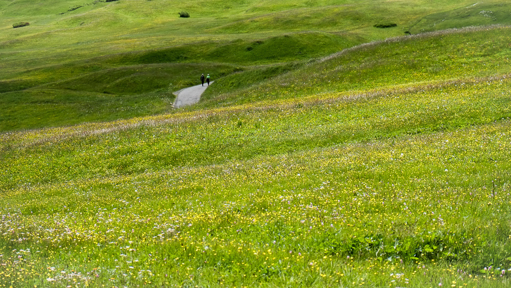 Alpe di Siusi - June 21, 2015