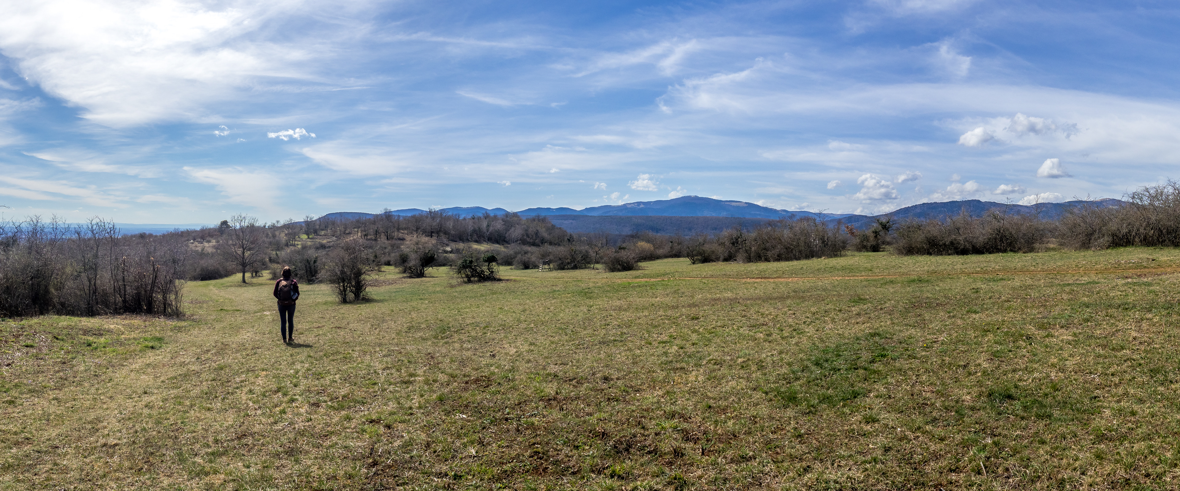 Colline sèche du Zinnkoepfle, photo Loeilderic