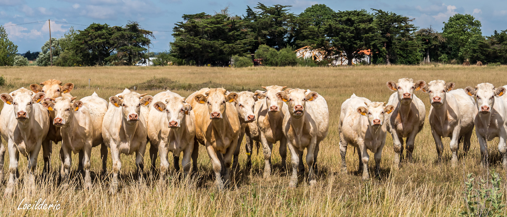 Comme au Tour de France!