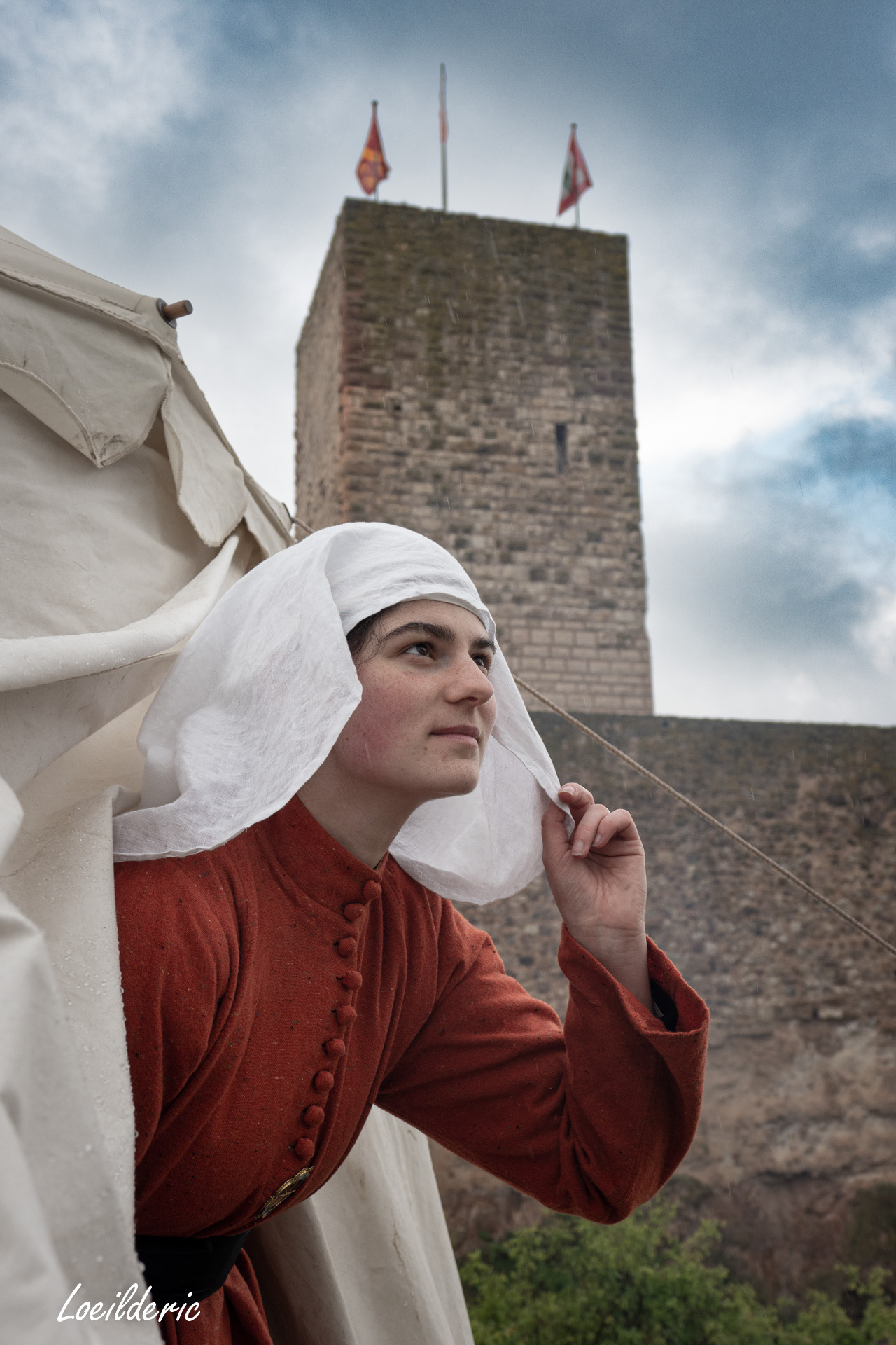 Alsatiae Protectores