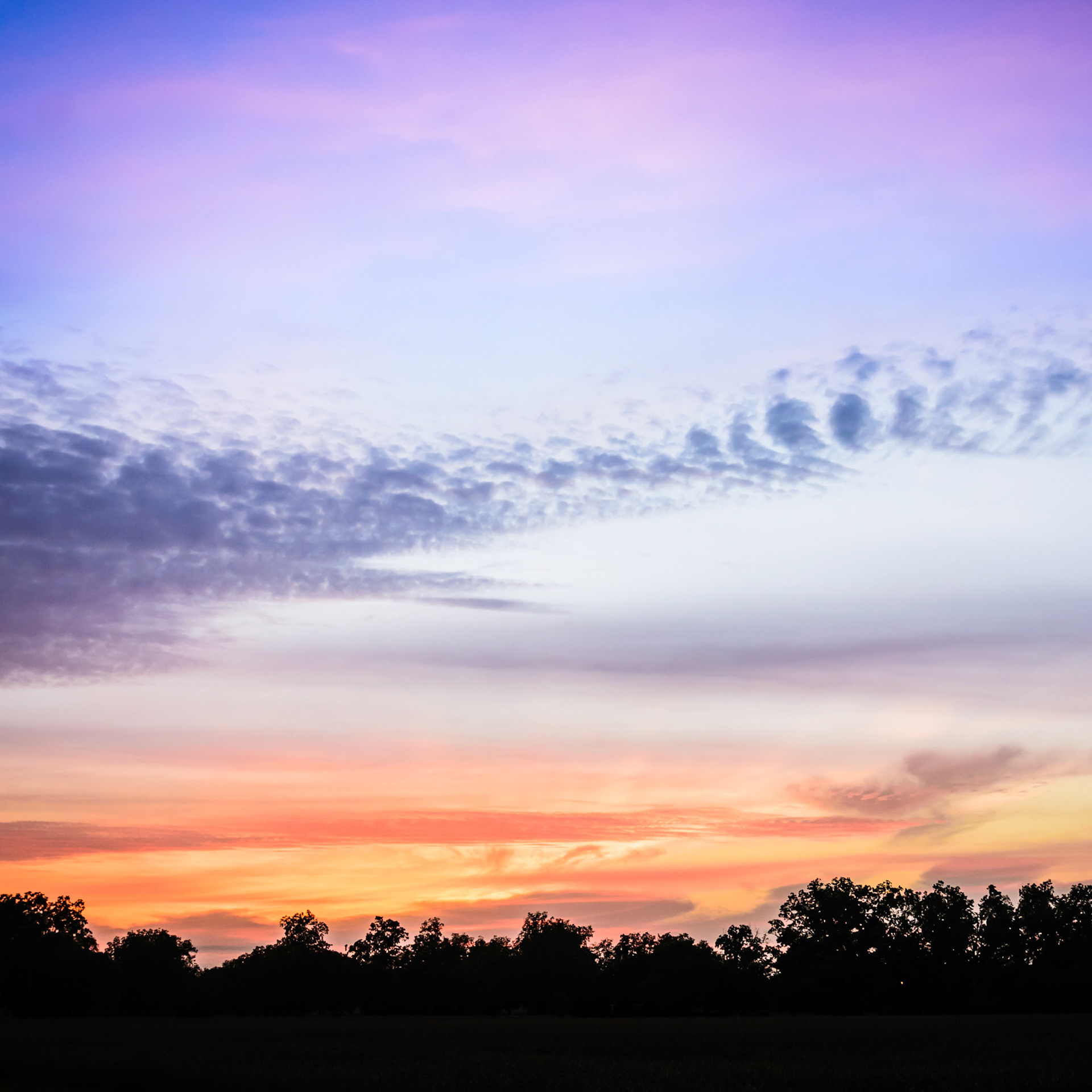 Mostly I Just Go by Feel