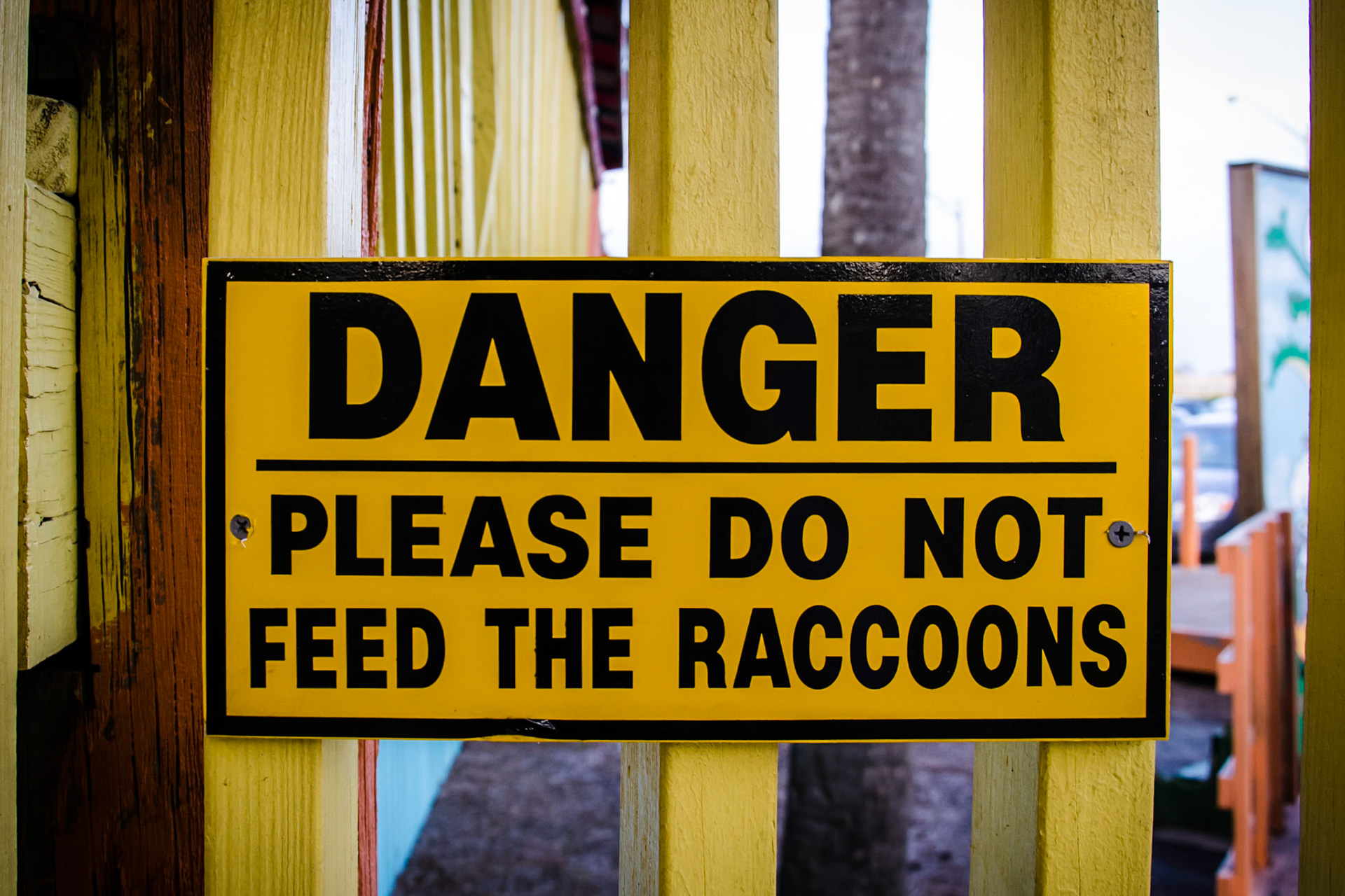 Rocky Didn't Like That