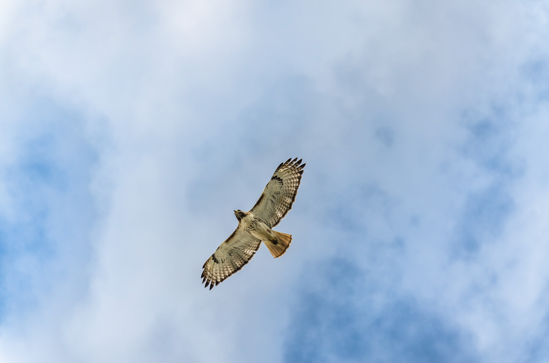 Photo by Melody Migas