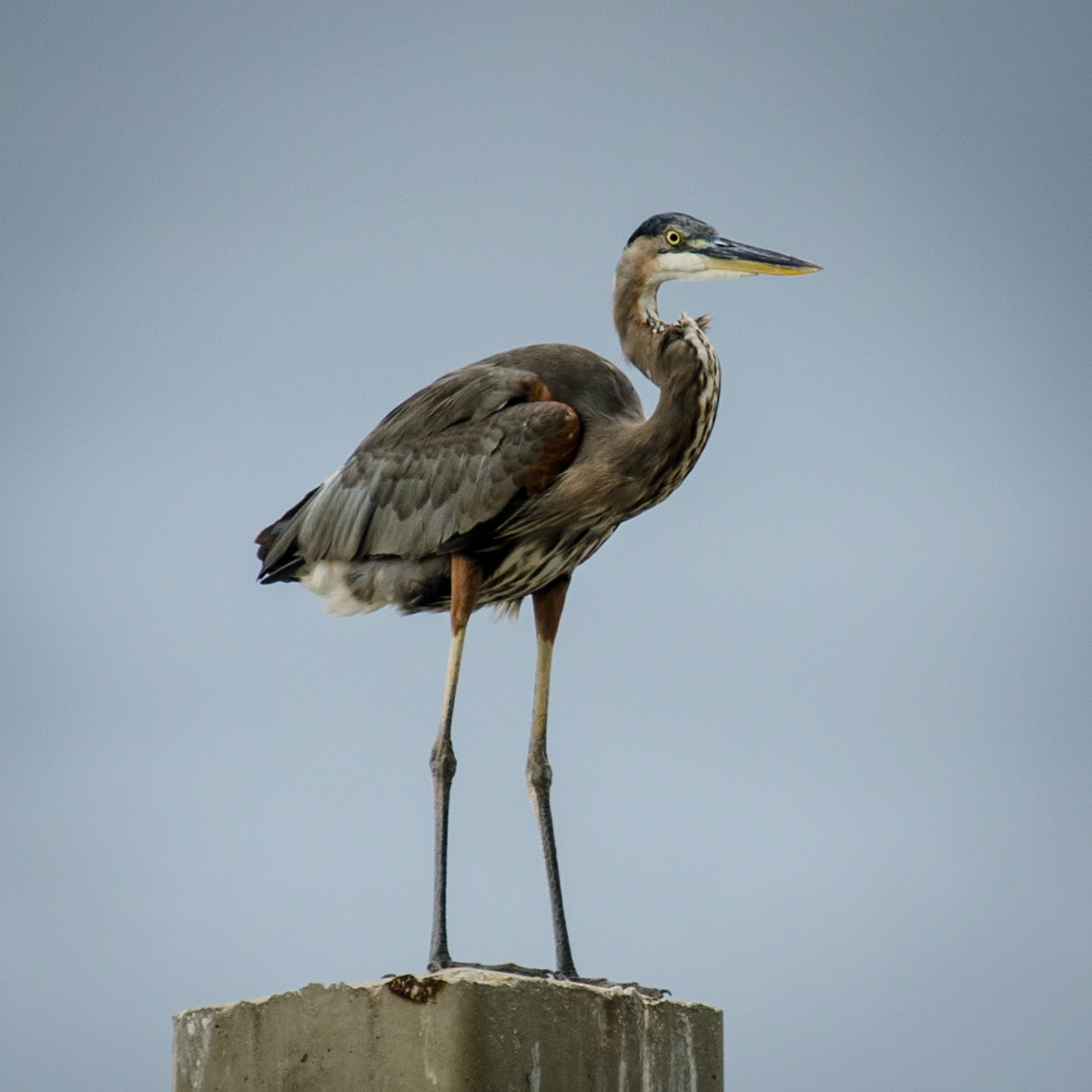 Standing on the Edge of your Life﻿