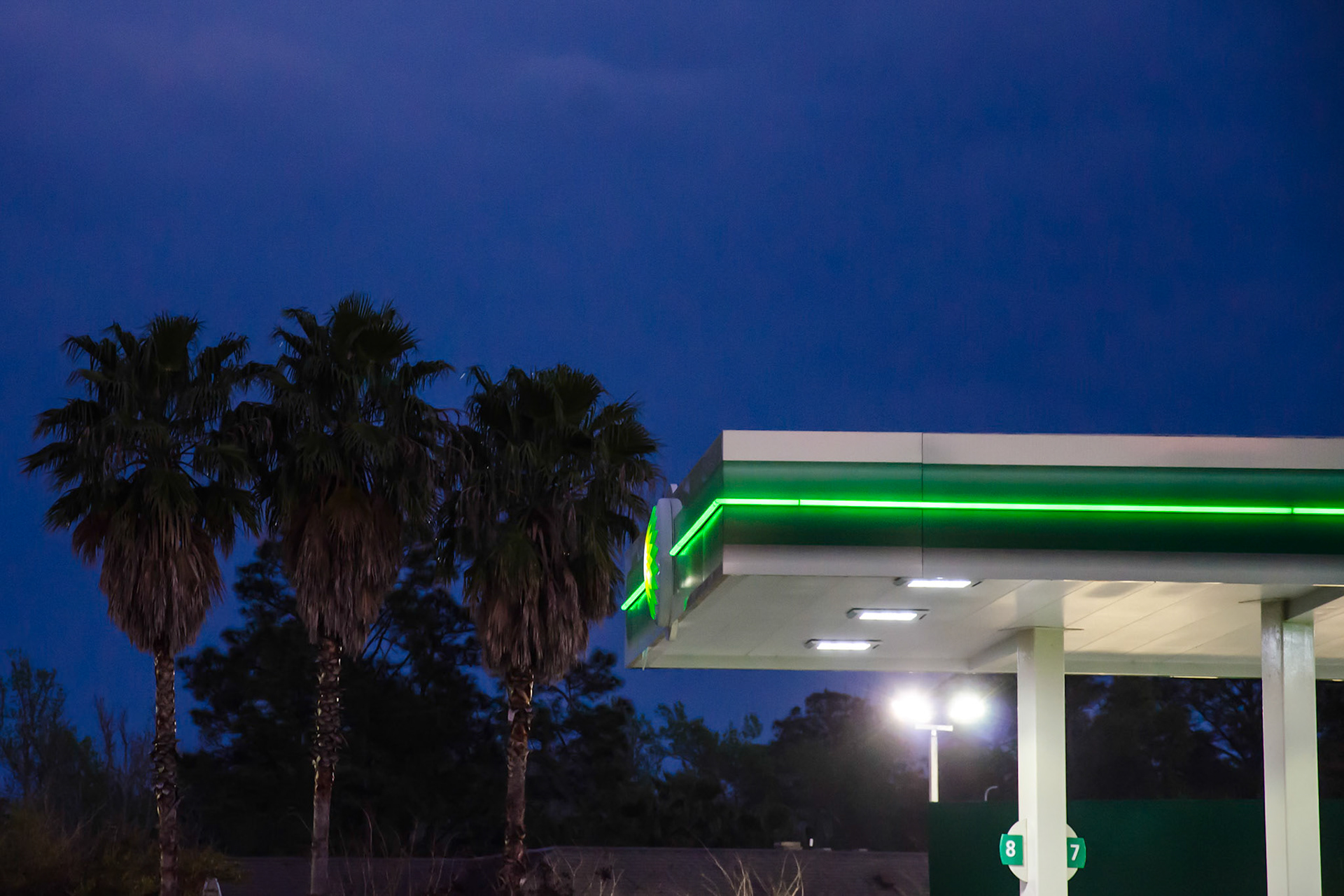 She Said She was Going Green