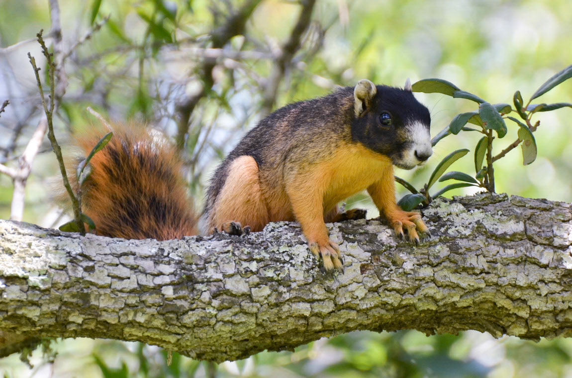 Why Must You Always Dress In Black