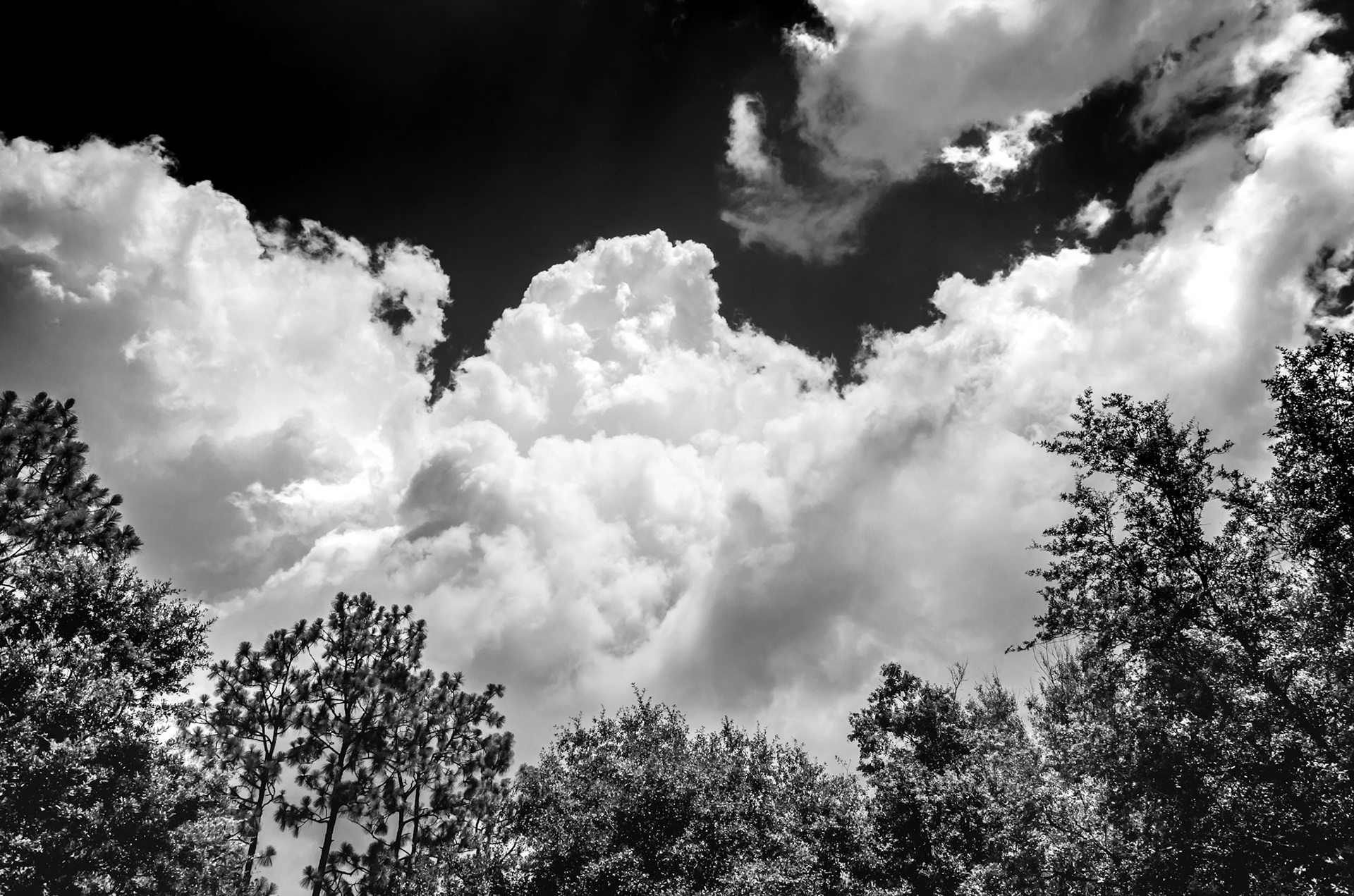 Photo by Melody Migas