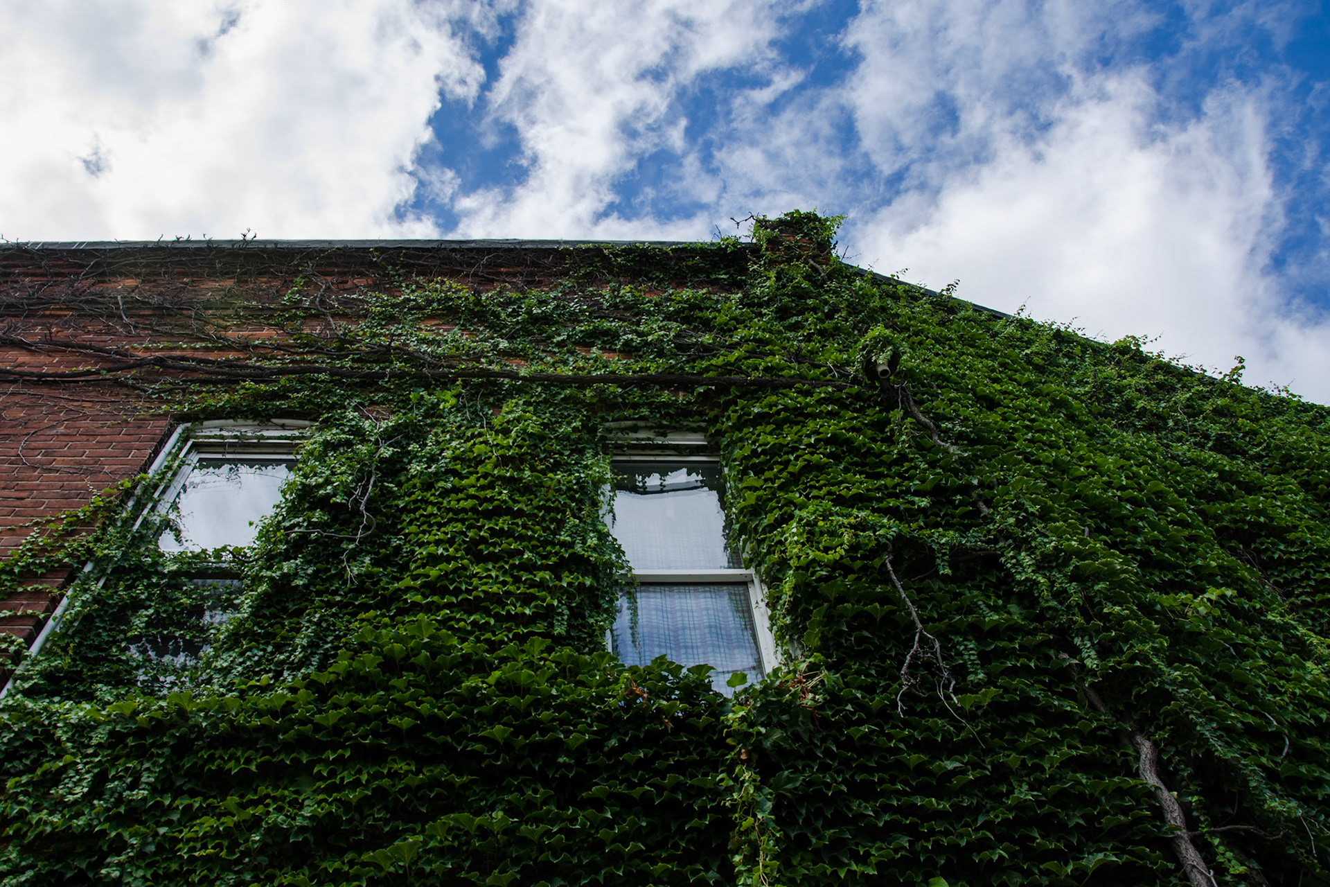 Throw your arms around me