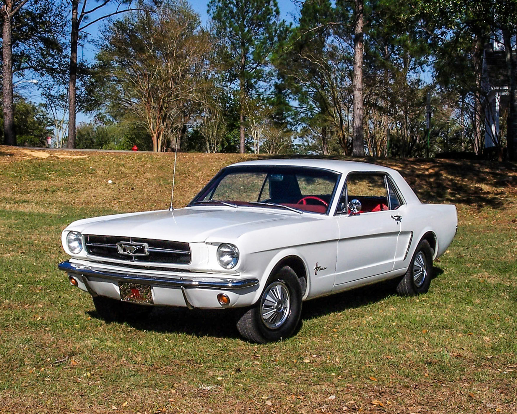 Another photo to celebrate Ford Mustang’s 50th Birthday this week. (I told myself I do one every day but missed a day already) Greg and Michael worked on this one, too. Michael drove it to college. Then in about 2008 they found a leak in the cowl panel and started to repair it. But they got busy and never finished it. She sat for several years pulled apart. Very sad. We finally just gave up and sold her about a week ago. Hopefully her new home will show her lots of love.