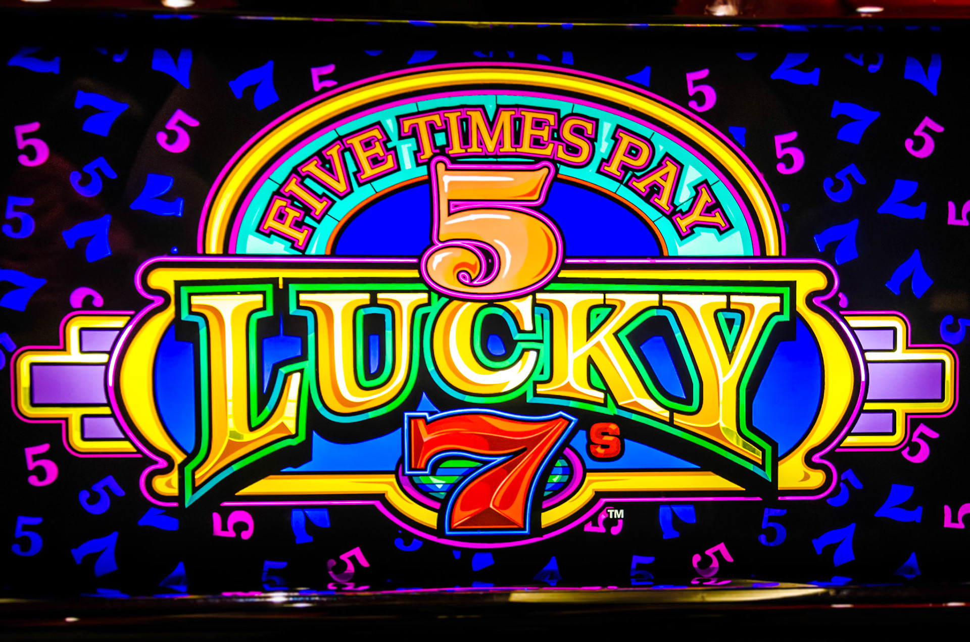 Photo by Melody Migas