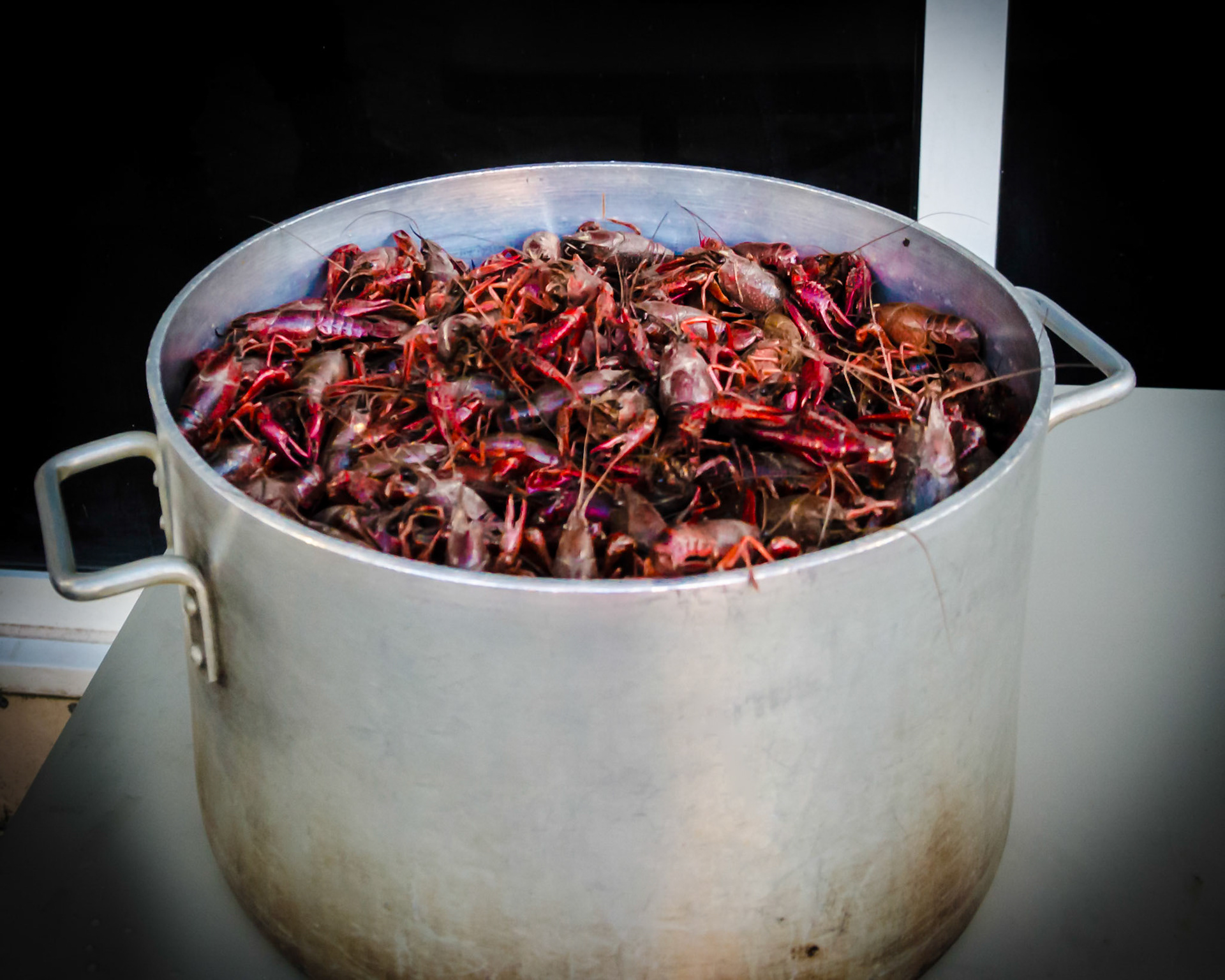 Crawfish waiting to be boiled at Chef Tom Wolfe's Lousianna Pantry.