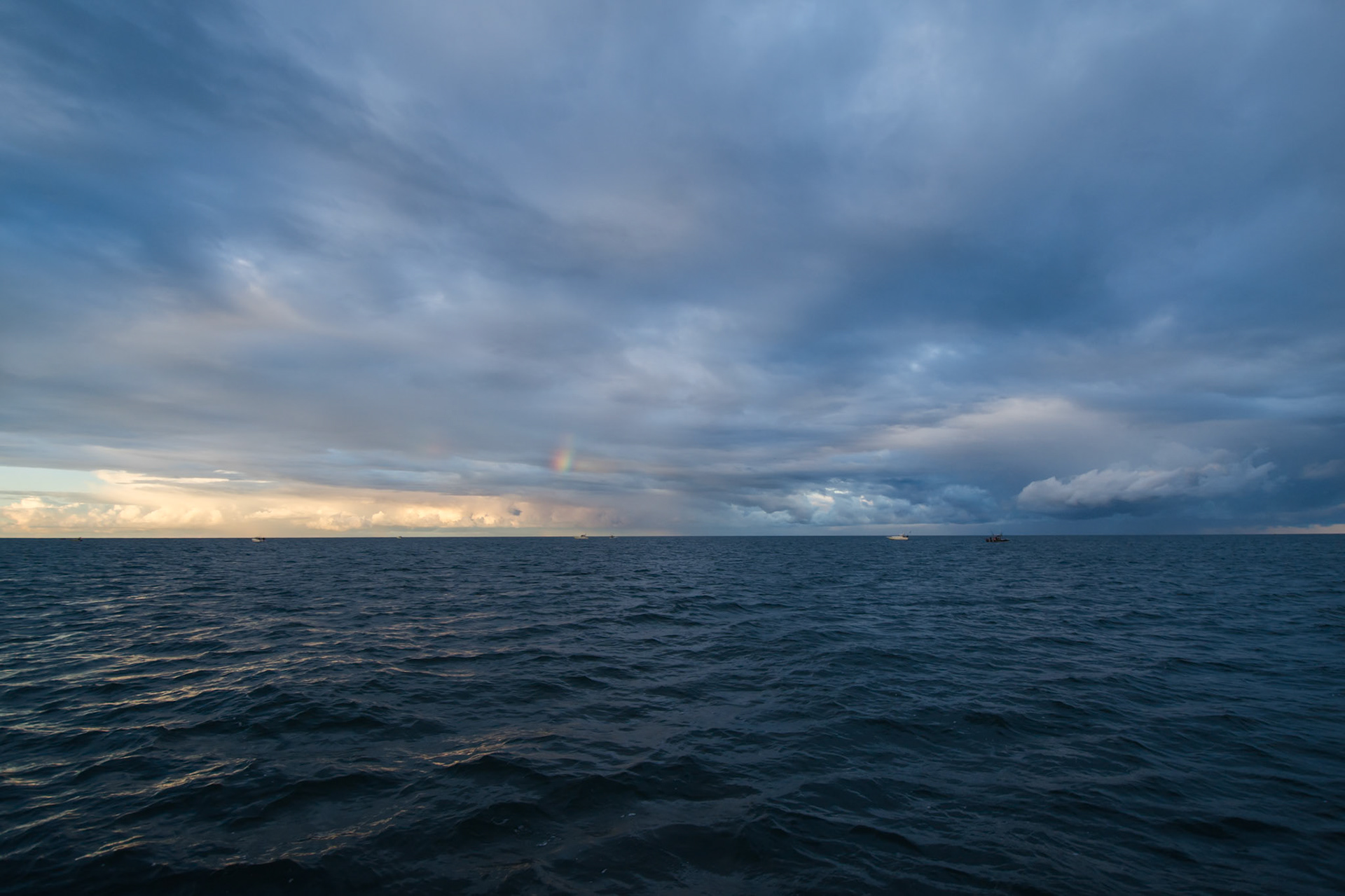 From a morning of fishing Lake Michigan aboard the Blue Fairways.