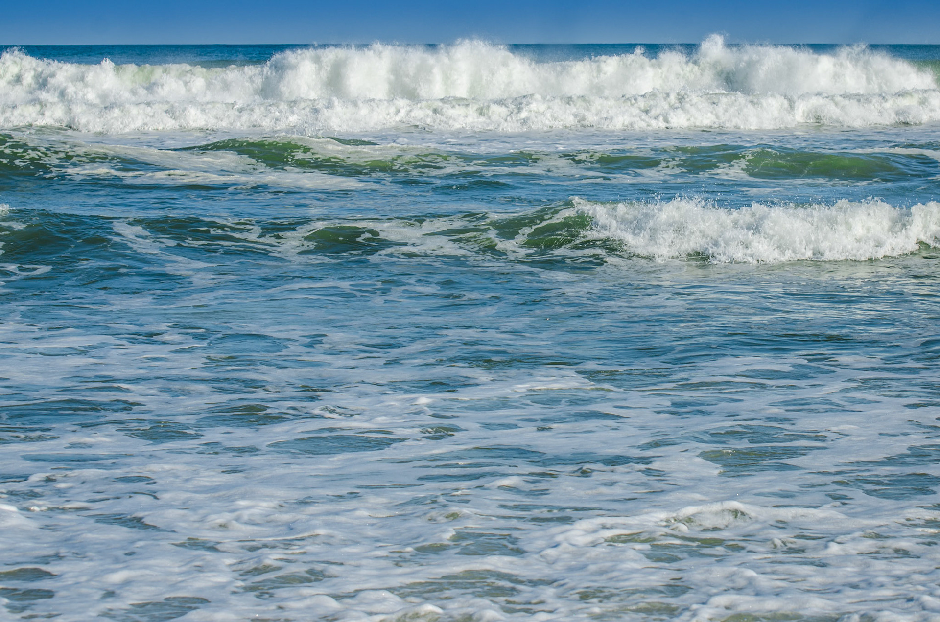 For World Oceans Day.  worldoceansday.org  The title is from a tshirt that LuLu Buffett had made right after the oil spill for the scholarship program at the Sea Lab www.disl.org. To learn more about Lucy go to lucybuffett.com