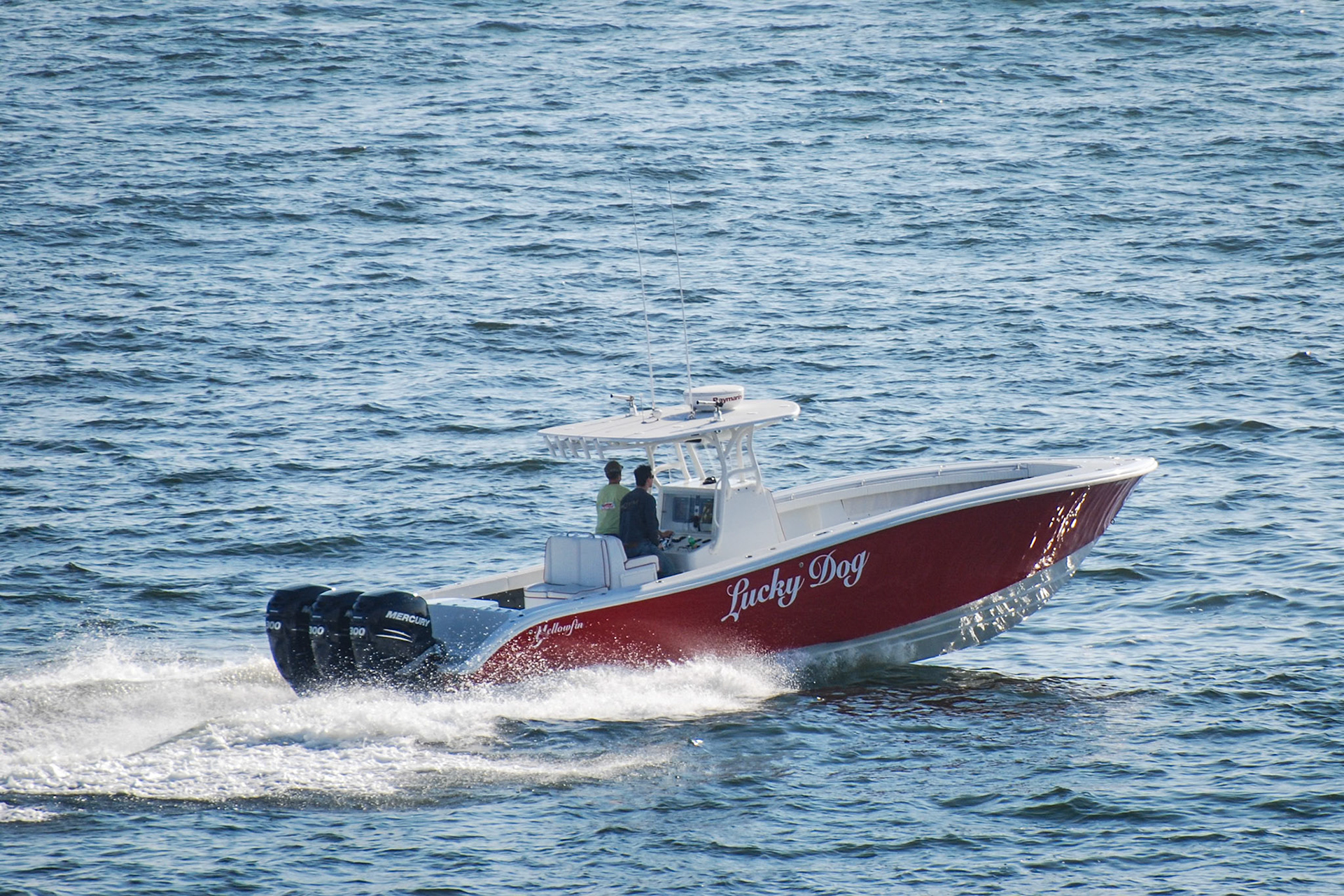 Lucky Dog - Red Boat