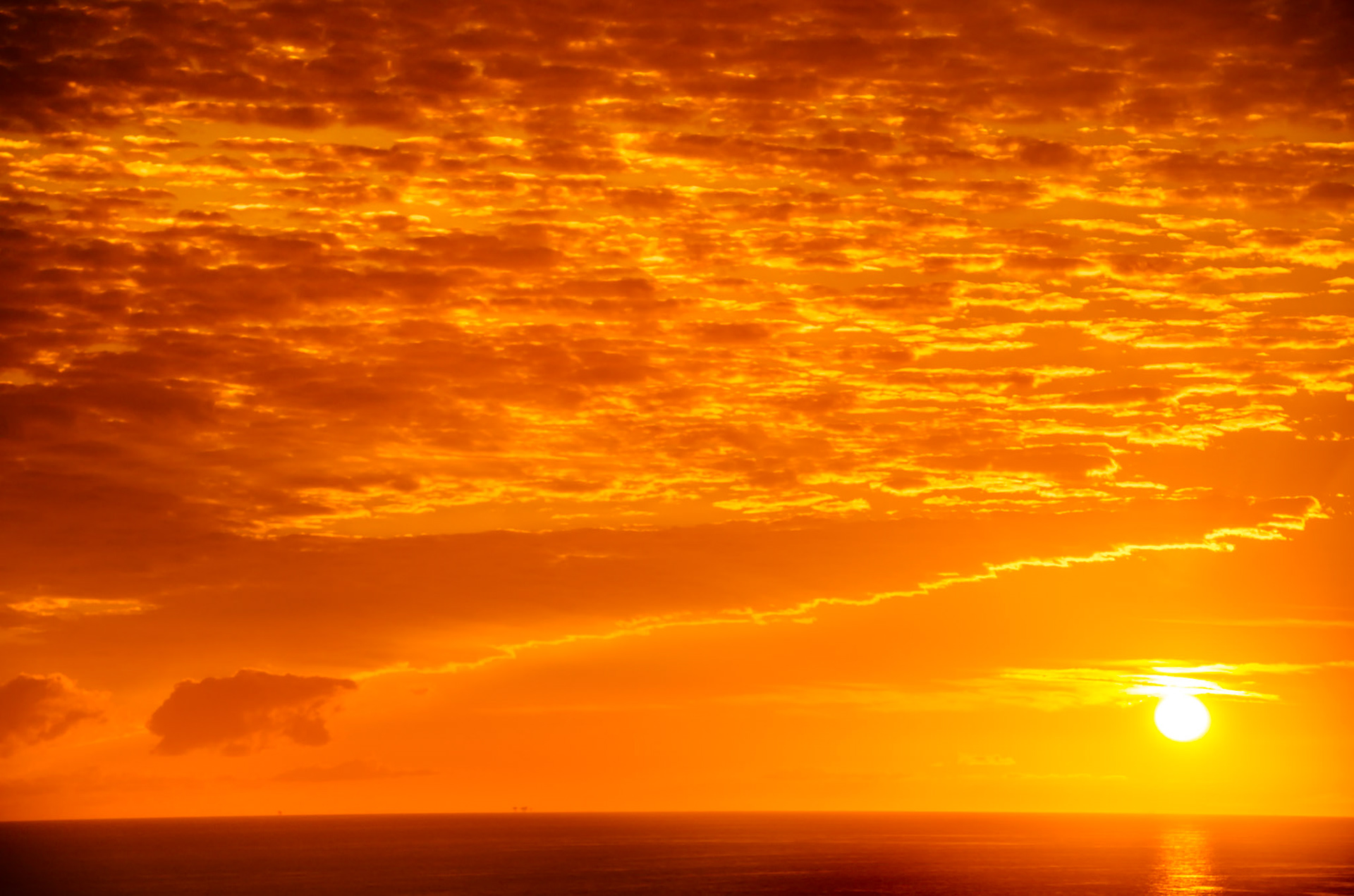 Photo by Melody Migas