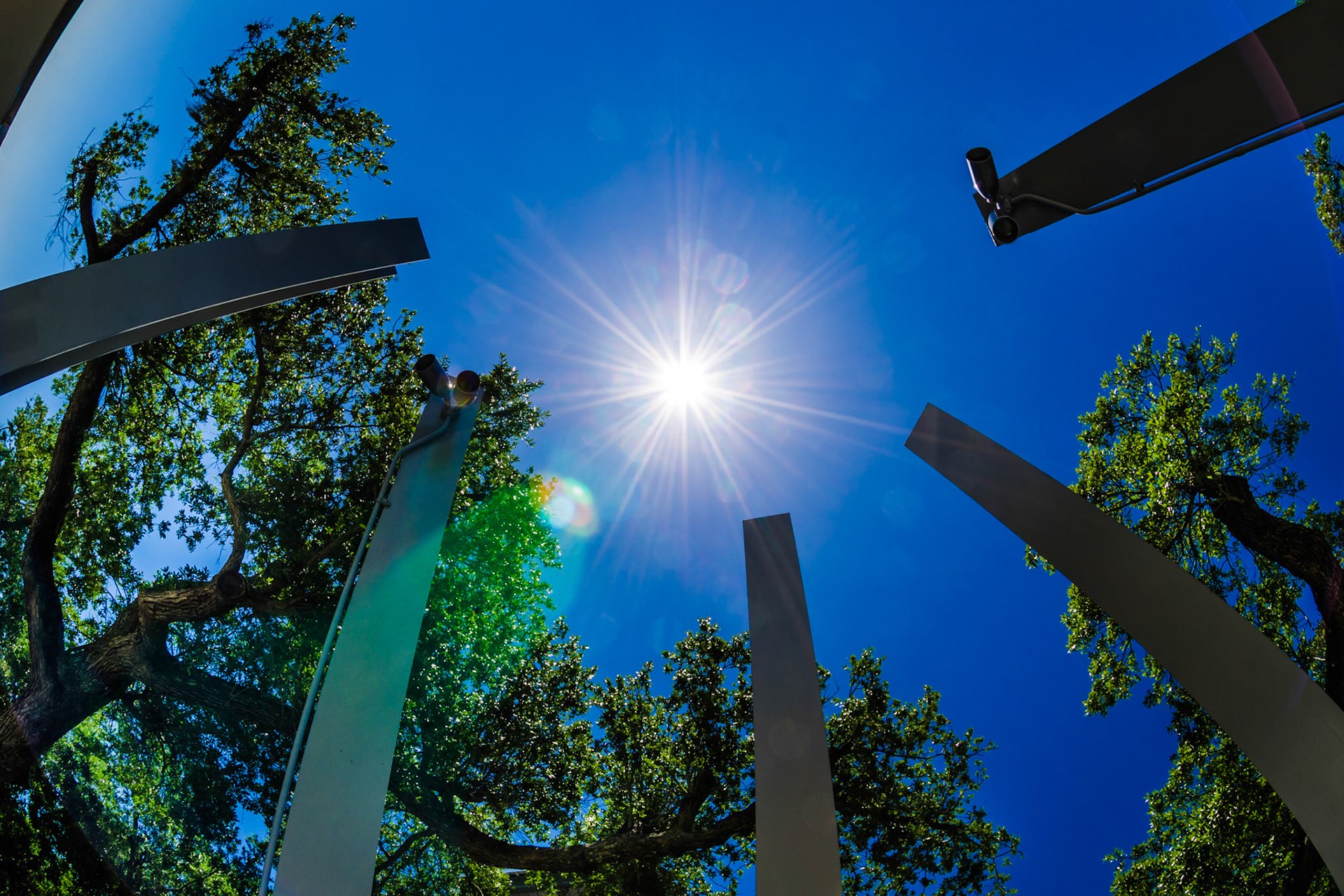 At Ohr-O'Keefe Museum Of Art by Frank Gehry in Biloxi, Mississippi.