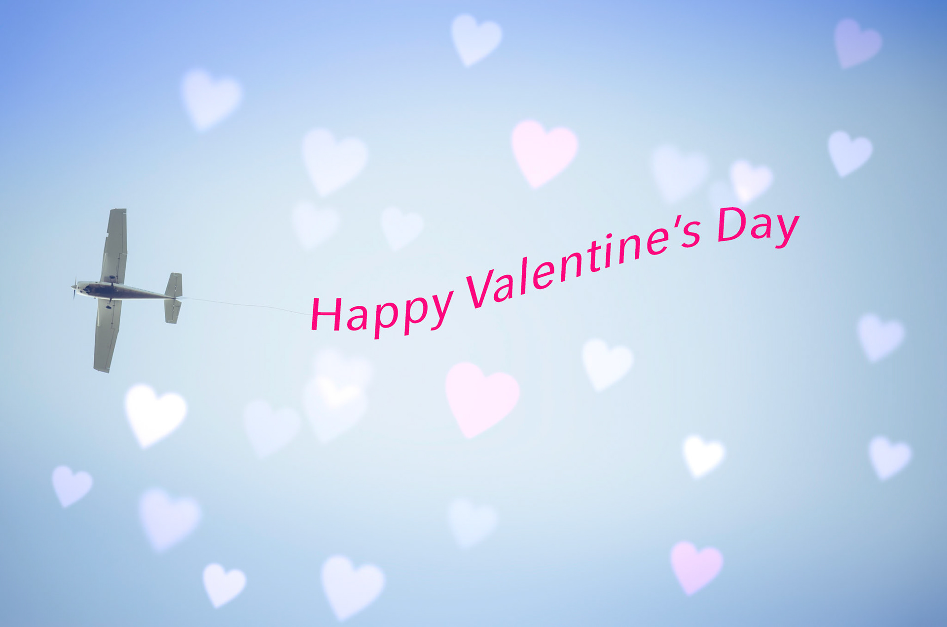 Photo by Melody Migas