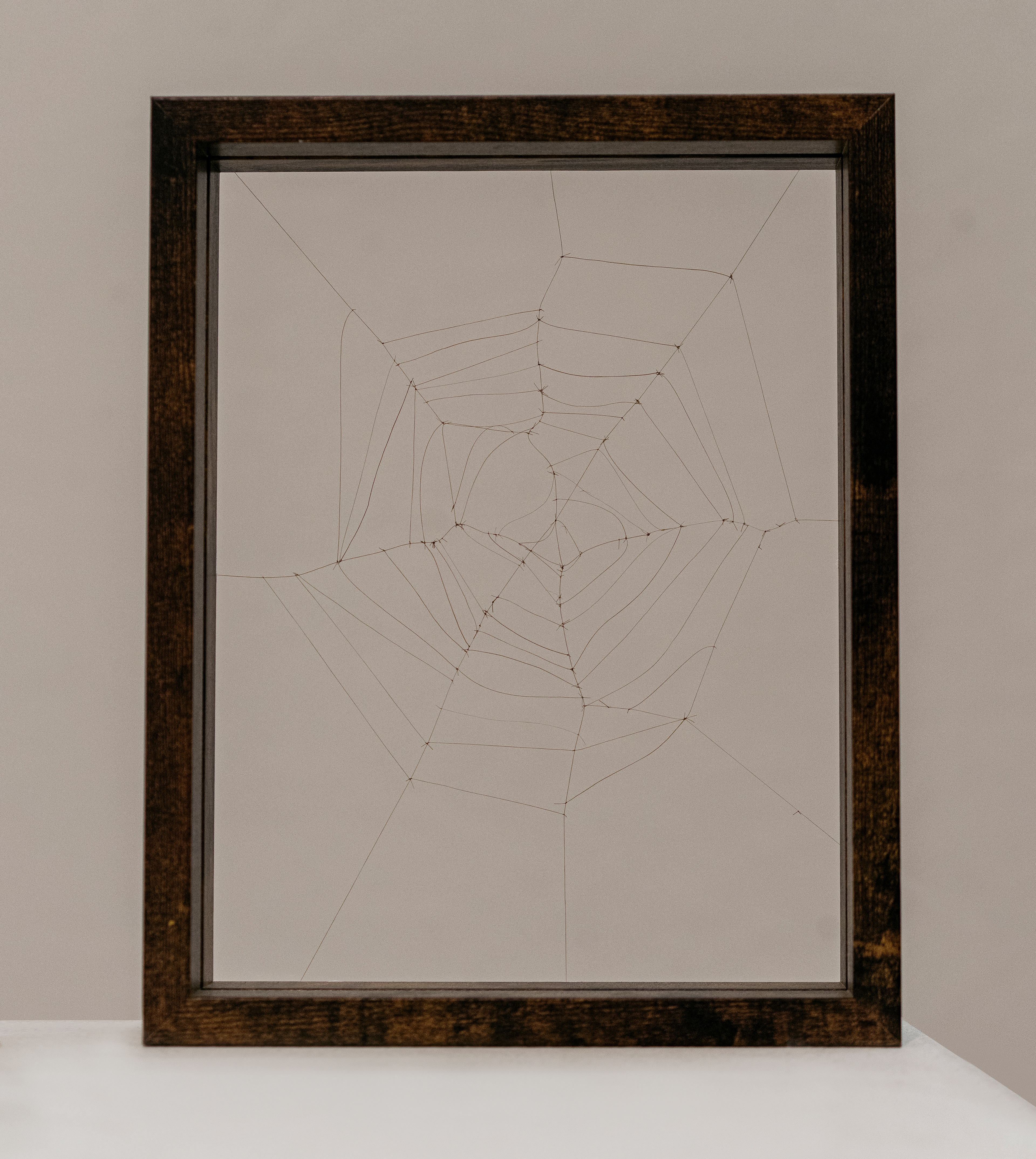 Tied In Knots, 2023. 10"x 8", Hair, wood frame.