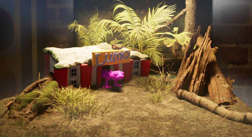 Inside the Gecko Terrarium with megascans assets for flora and the Gecko home based on a Katmandu IP building