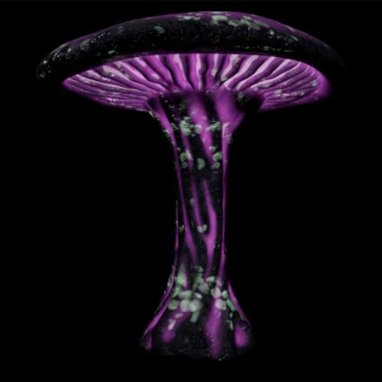 Bioluminescent Cliff Mushroom Variation 01 - sculpted in ZBrush and textured in Substance Painter