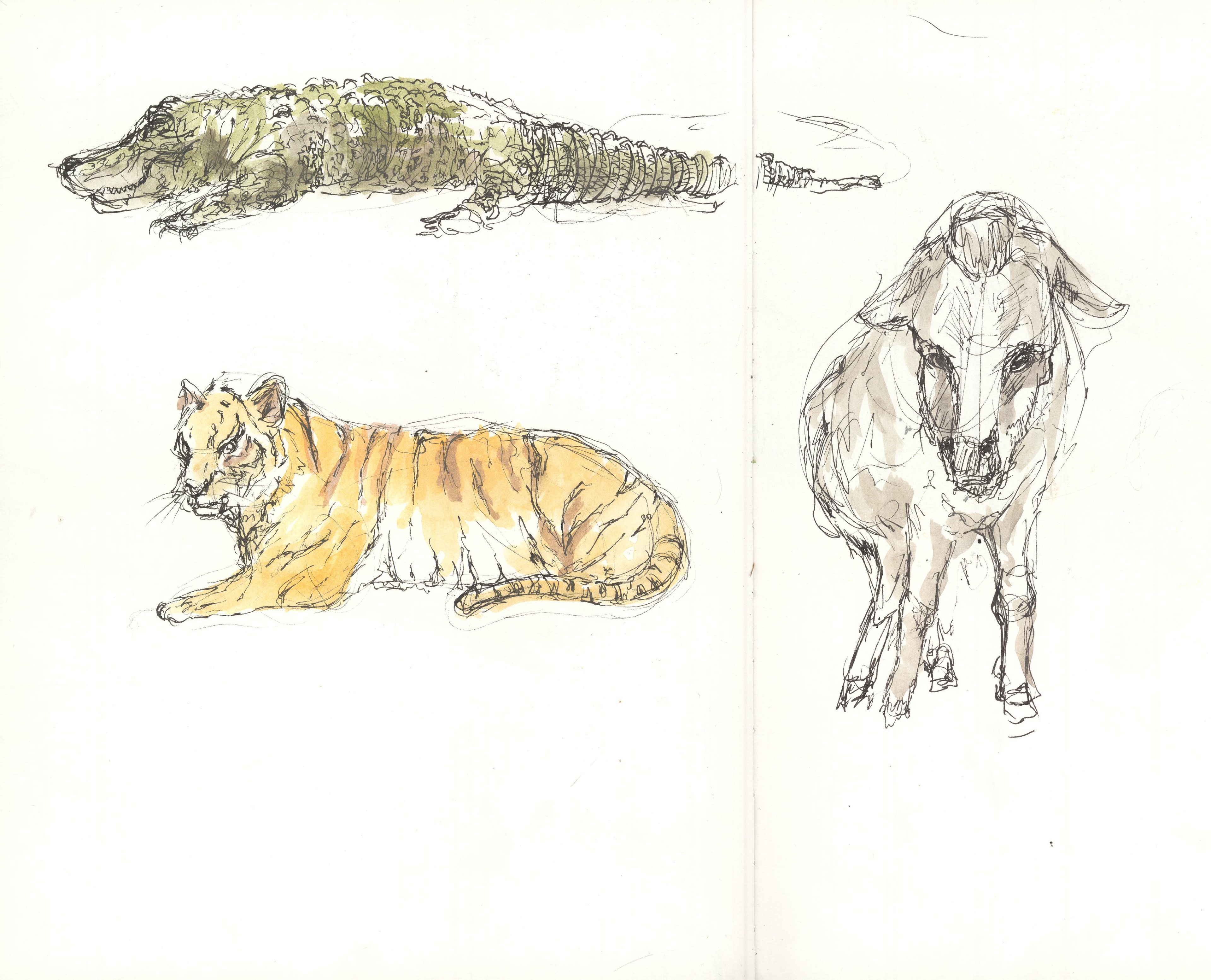 zoo 15 minute gesture