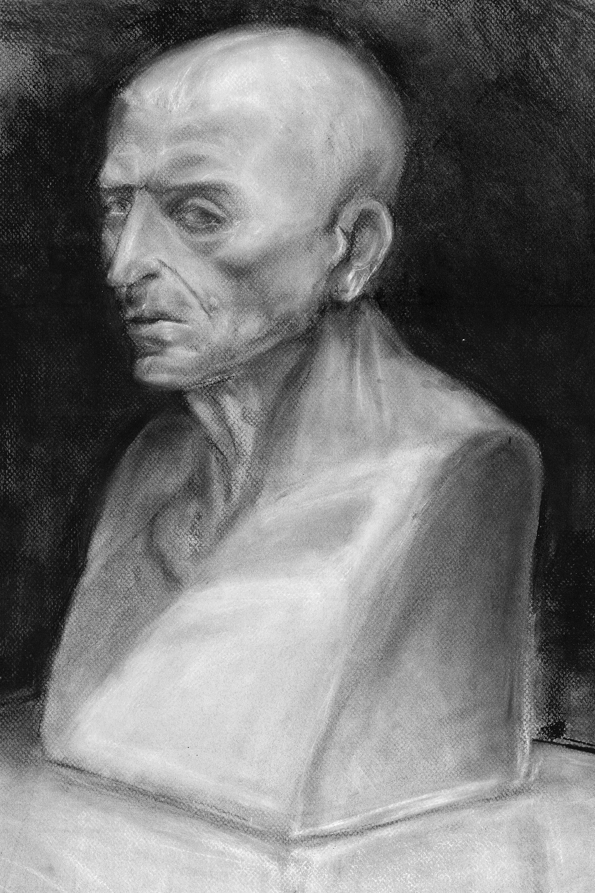 Cicero bust drawing