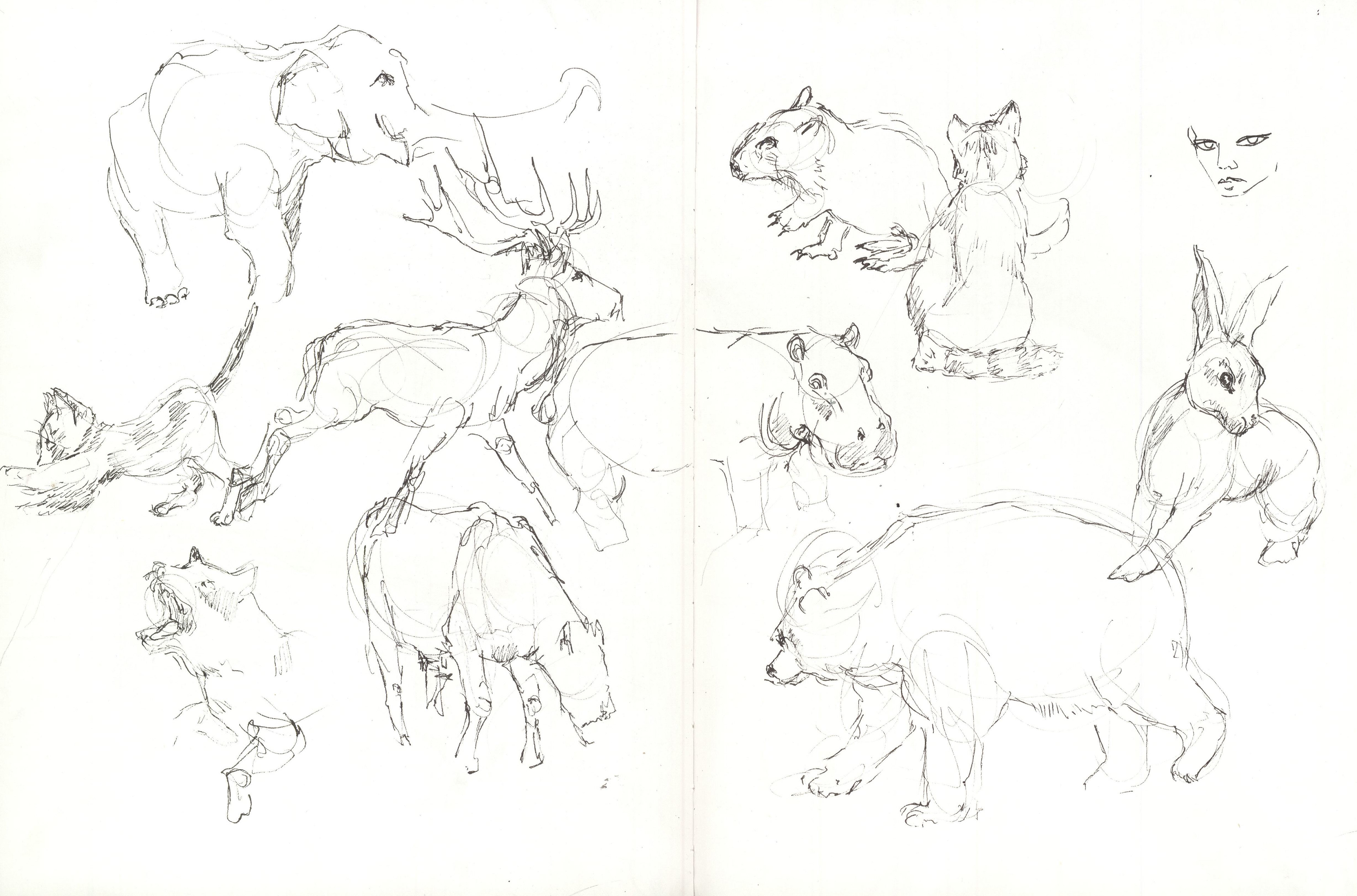 1 minute gestures
