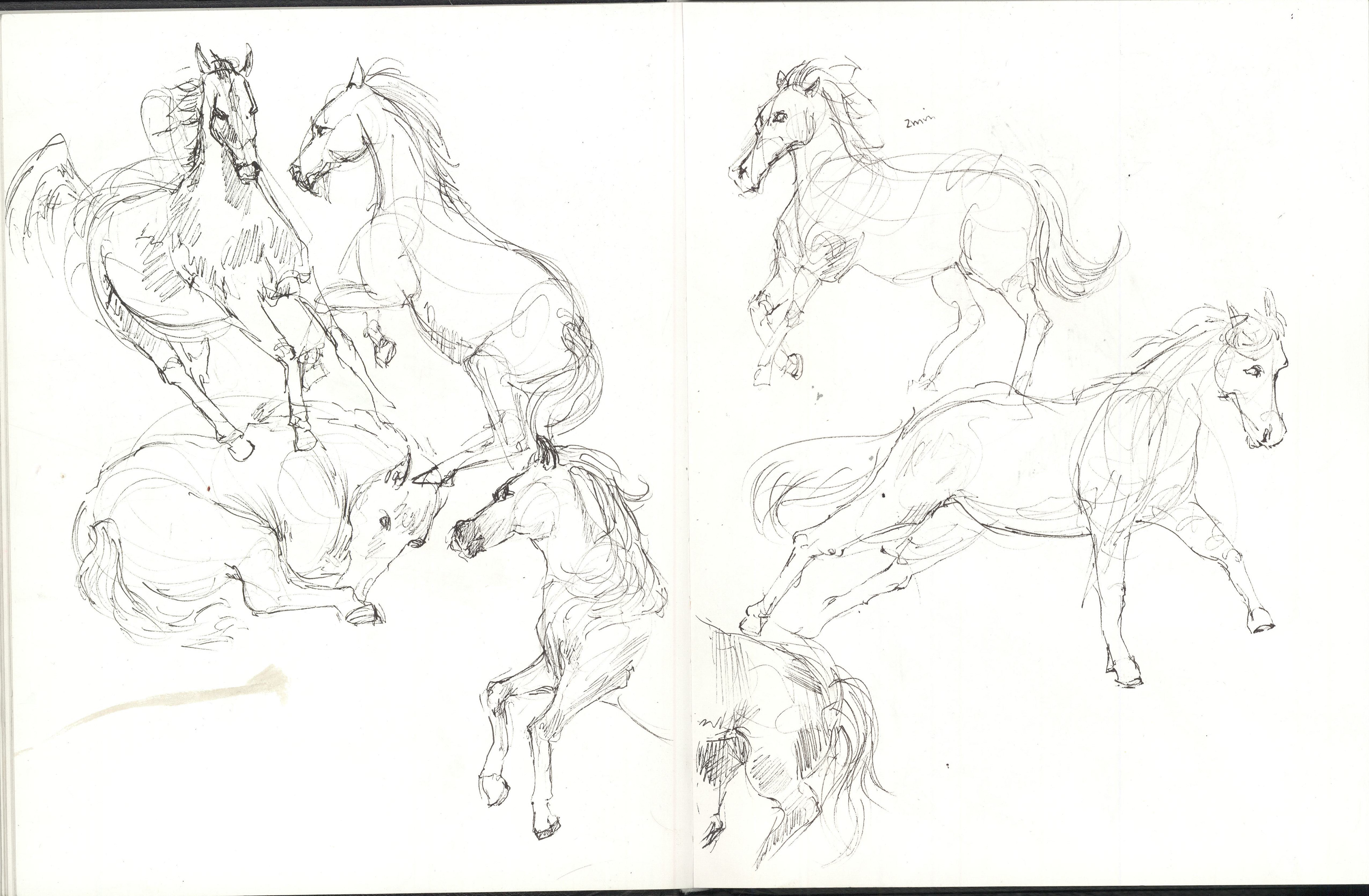 2 minute horse gestures